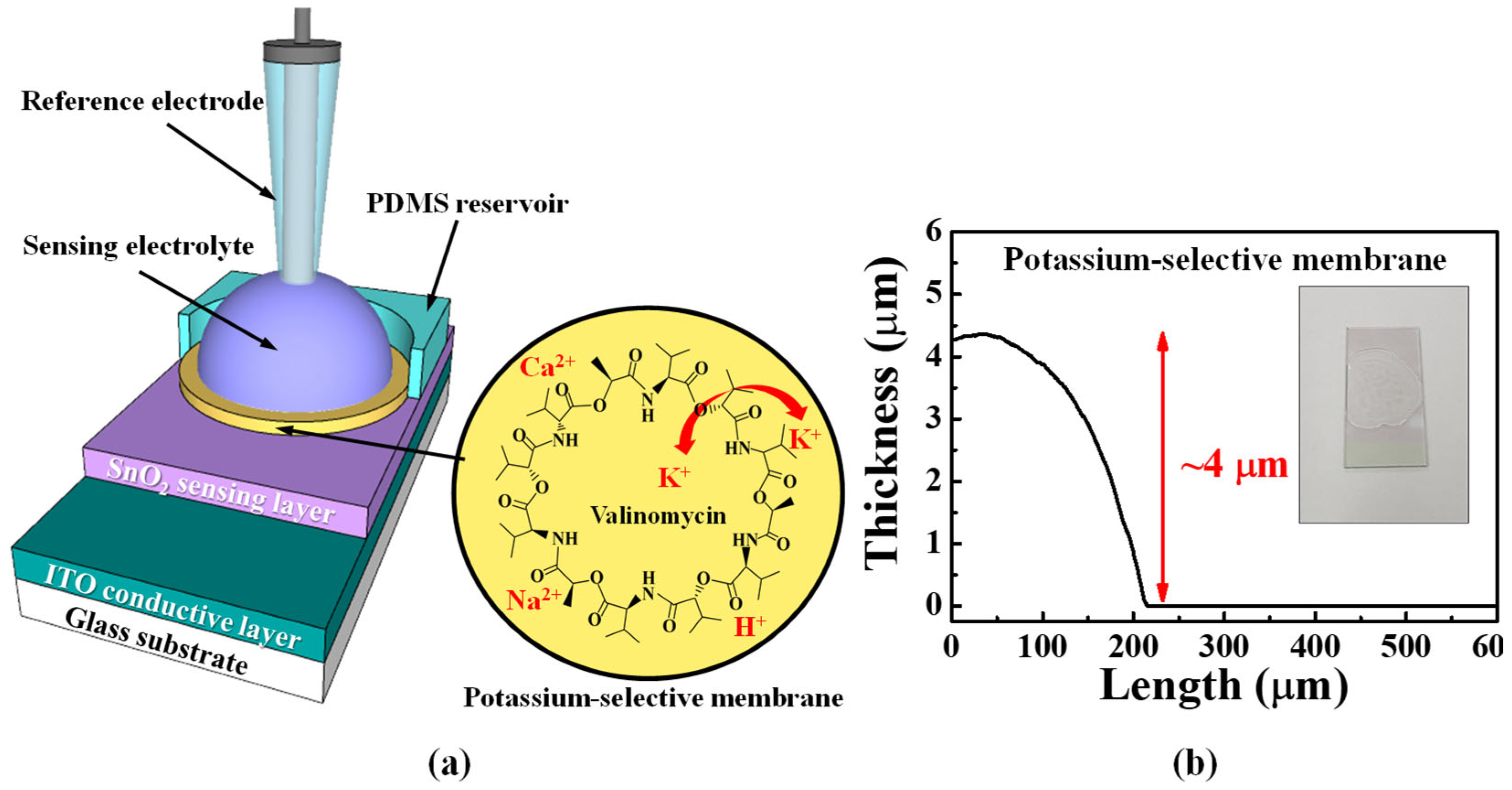 Ijms 24 06164 g009 Ijms 24 06164 g009