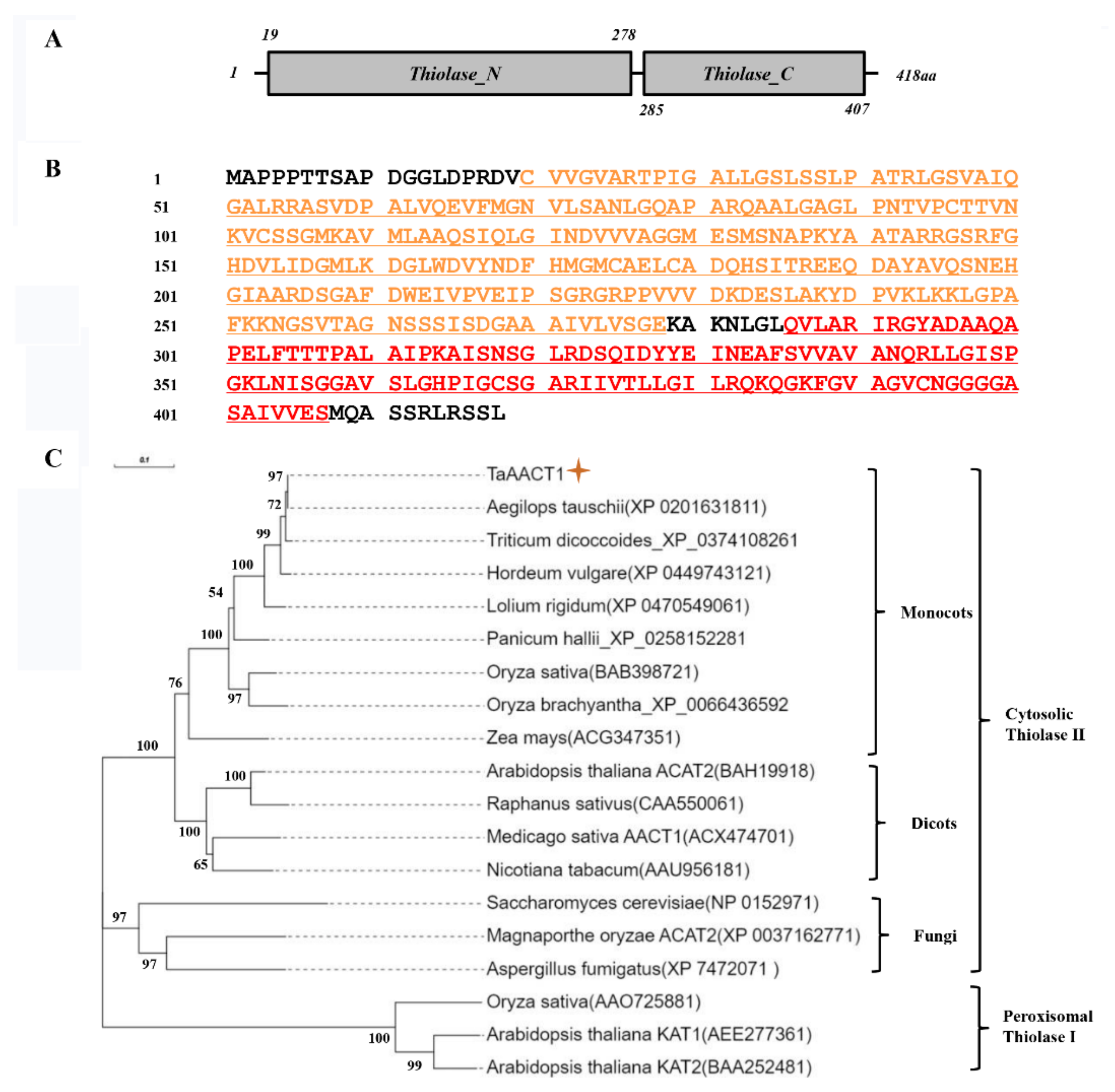 Ijms 24 06165 g003 Ijms 24 06165 g003