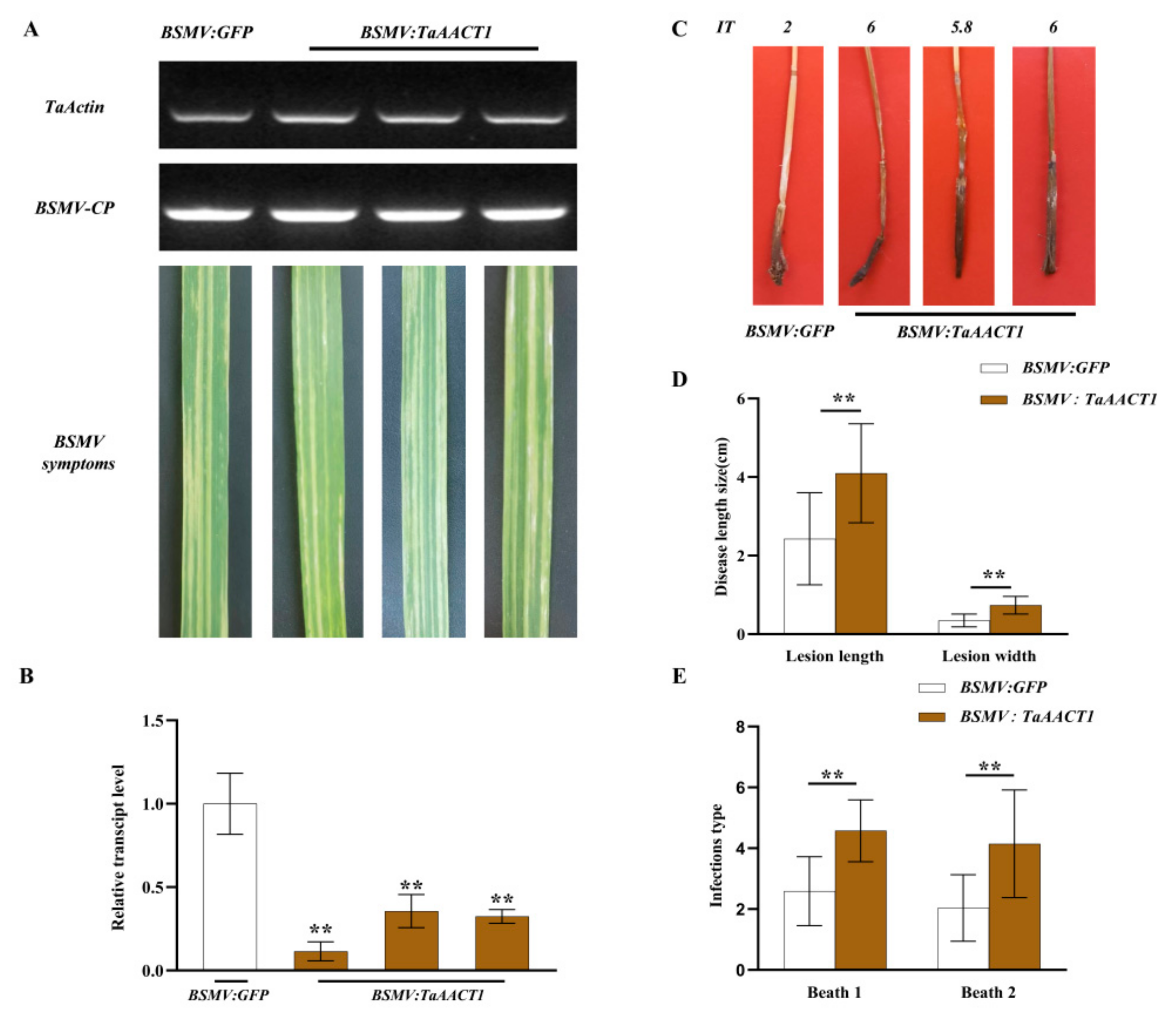 Ijms 24 06165 g005 Ijms 24 06165 g005