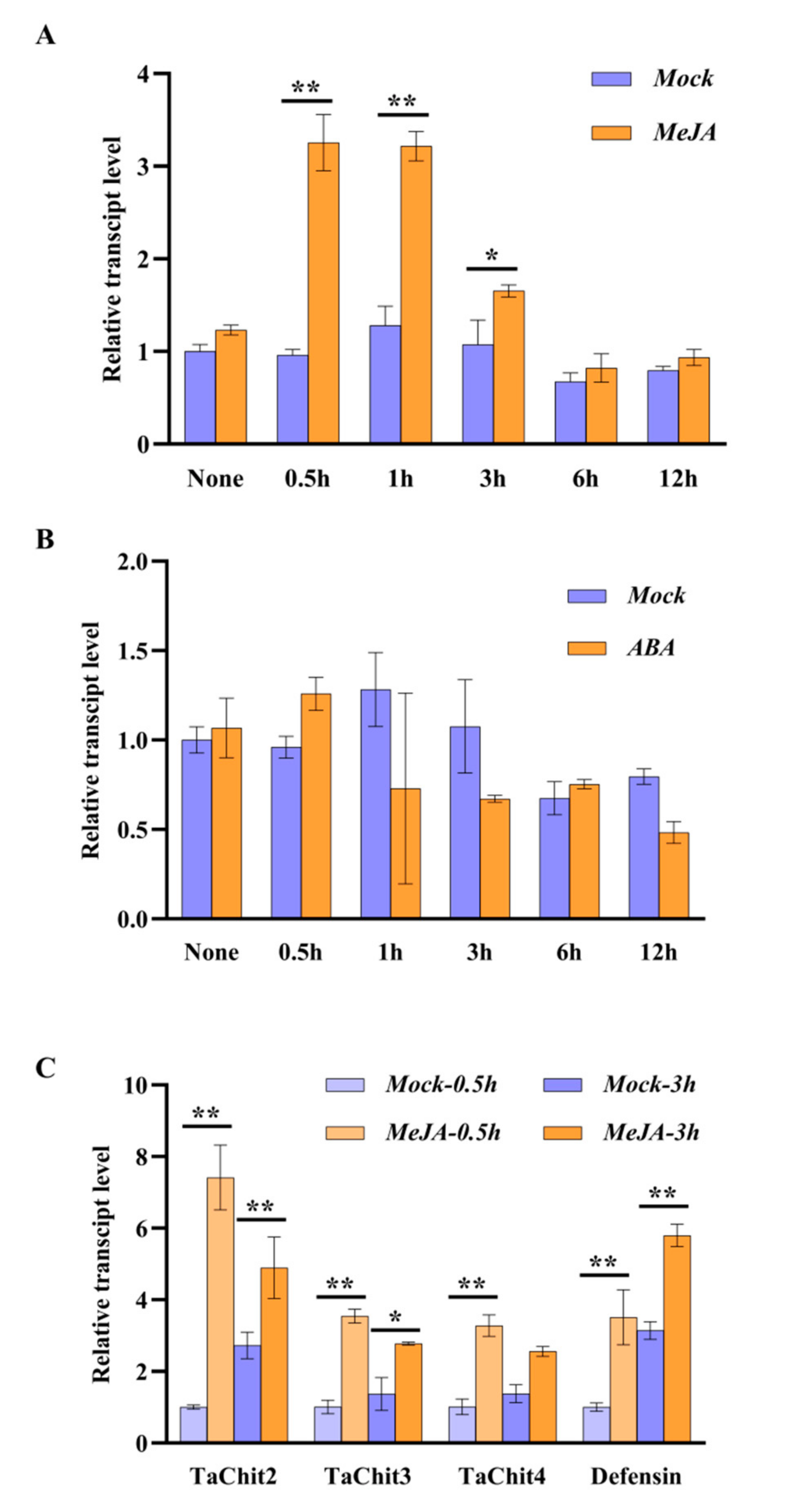 Ijms 24 06165 g007 Ijms 24 06165 g007