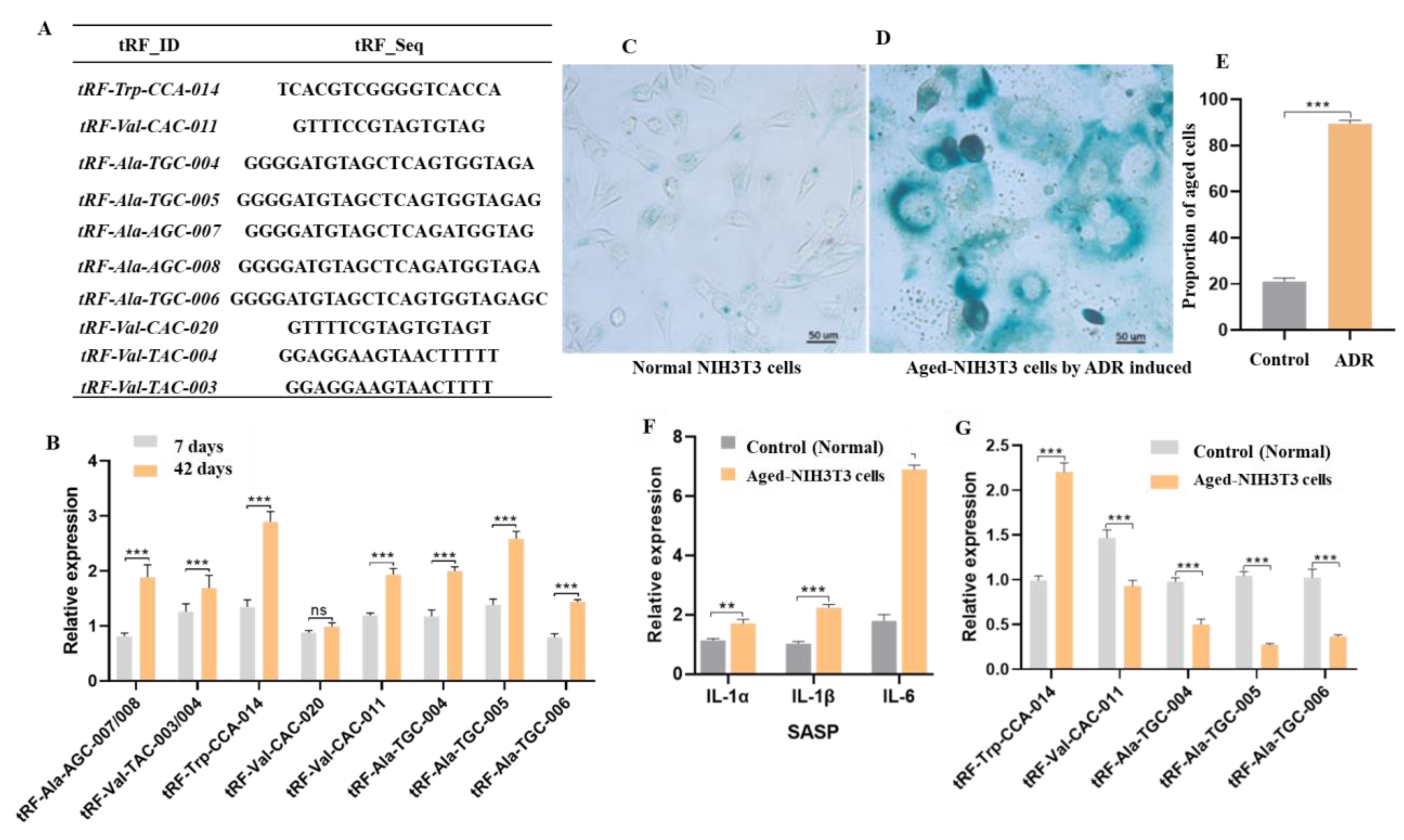Ijms 24 06169 g002 Ijms 24 06169 g002
