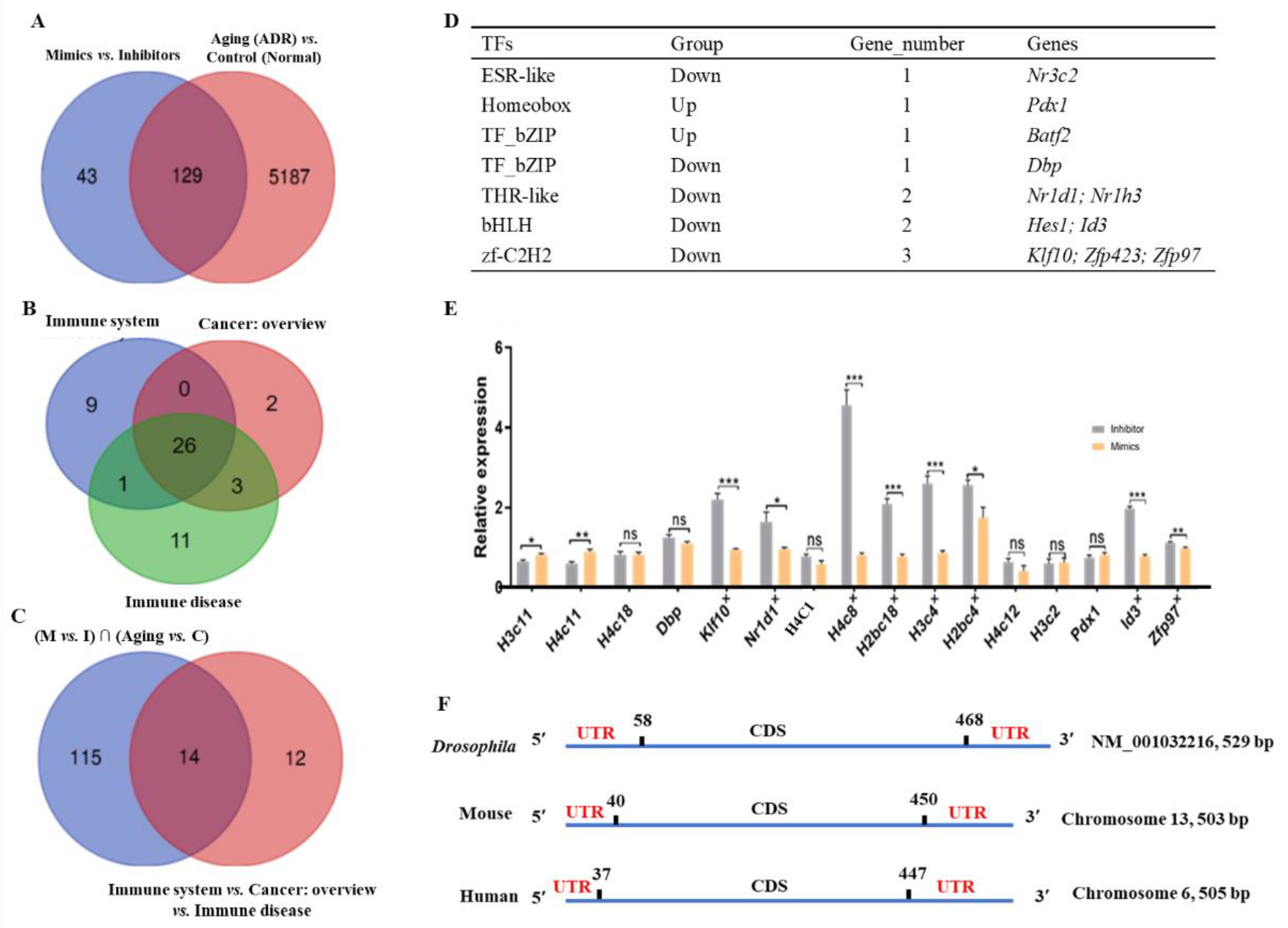 Ijms 24 06169 g007 Ijms 24 06169 g007
