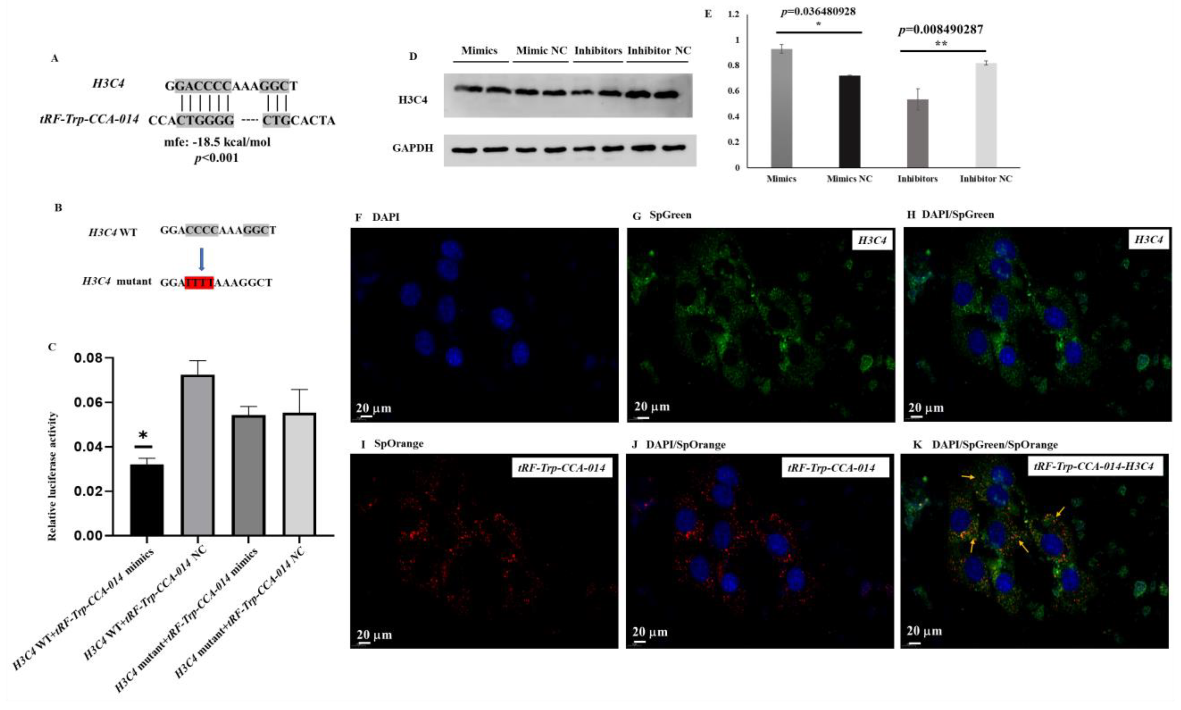 Ijms 24 06169 g008 Ijms 24 06169 g008