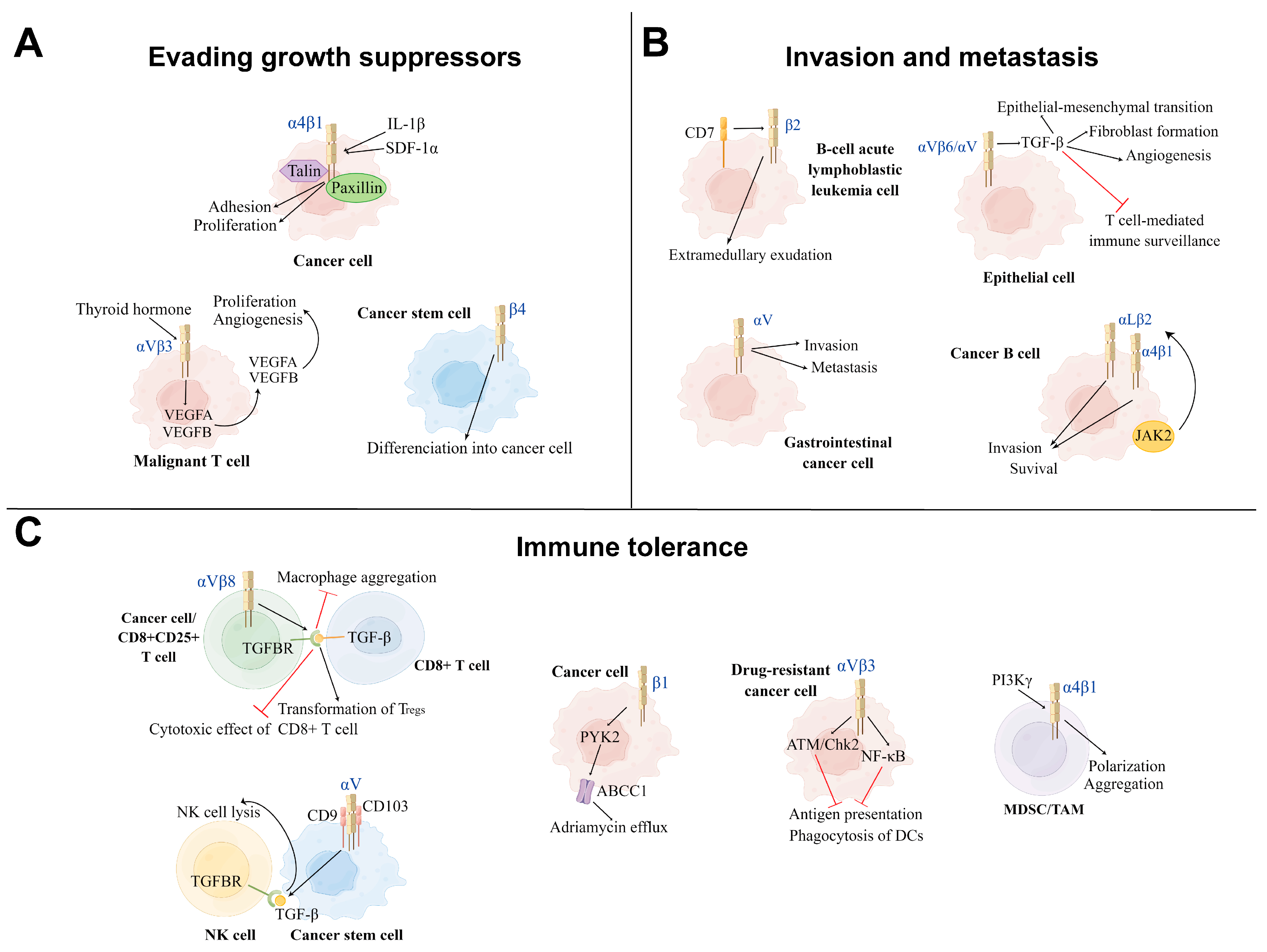 Ijms 24 06170 g003 Ijms 24 06170 g003