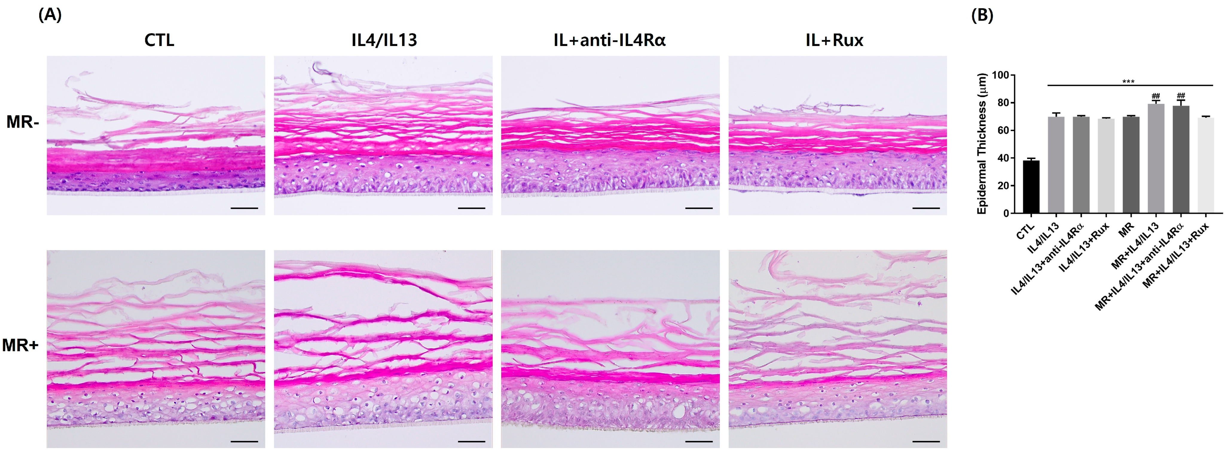 Ijms 24 06171 g001 Ijms 24 06171 g001