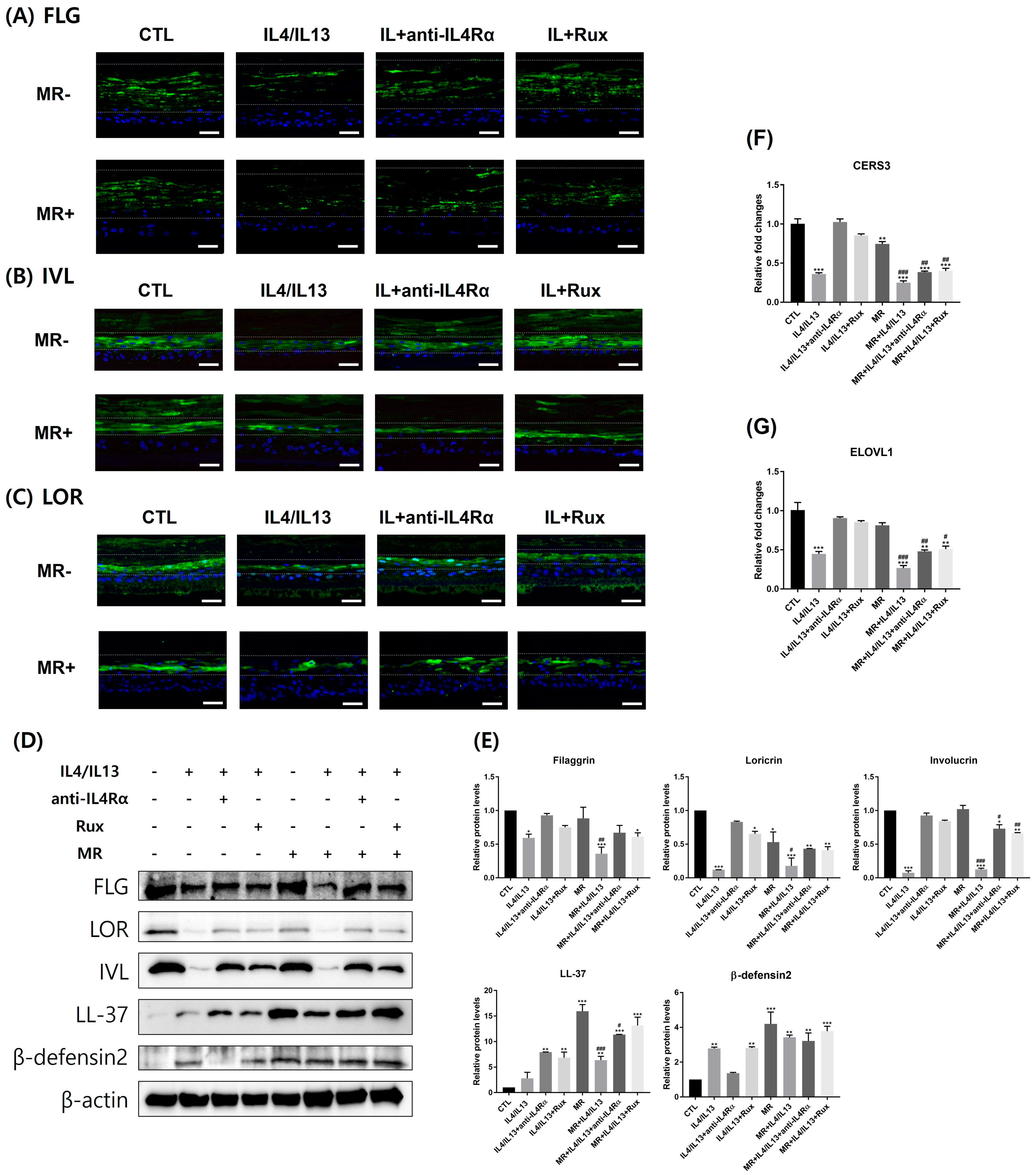 Ijms 24 06171 g002 Ijms 24 06171 g002