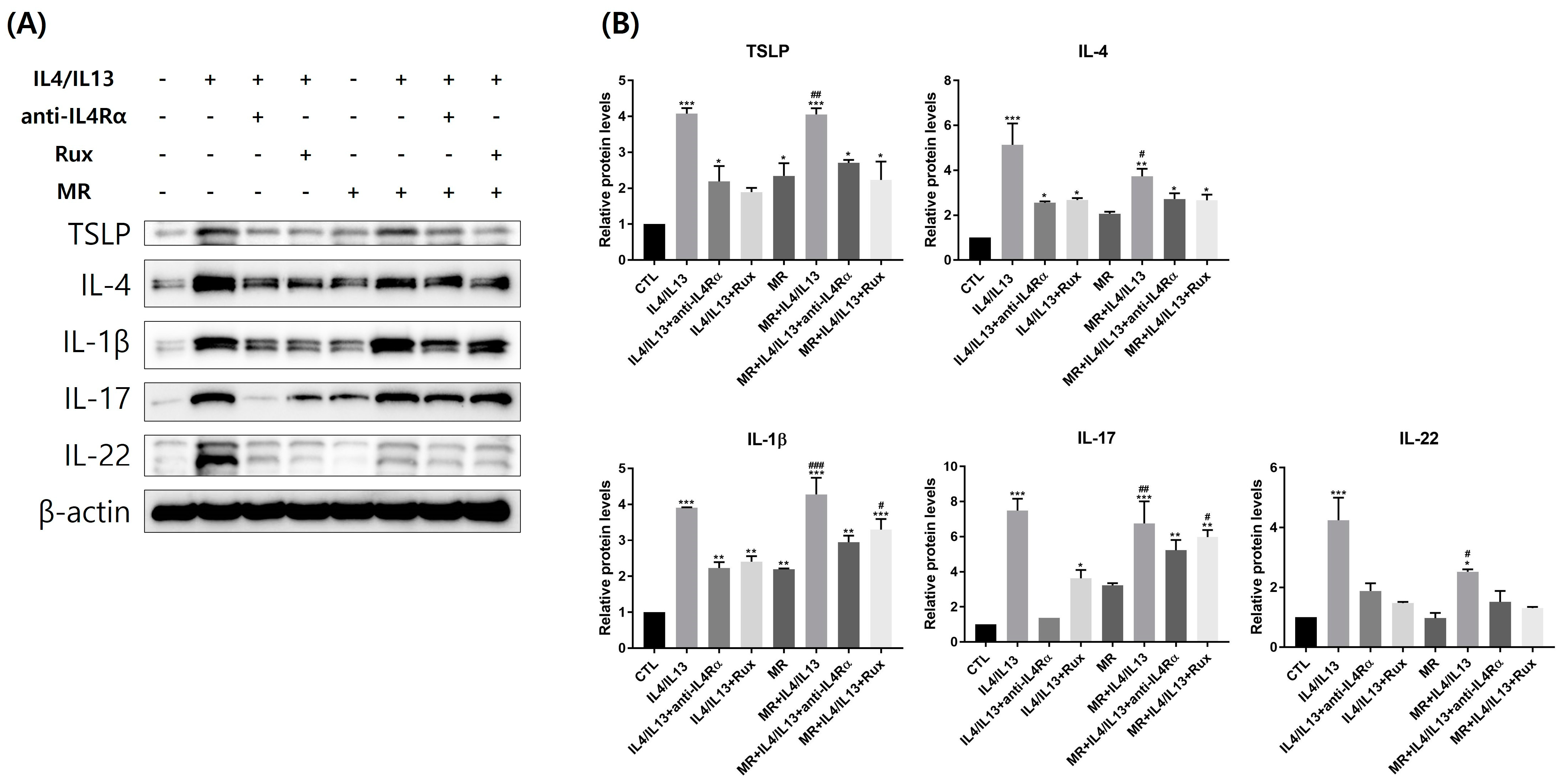 Ijms 24 06171 g005 Ijms 24 06171 g005