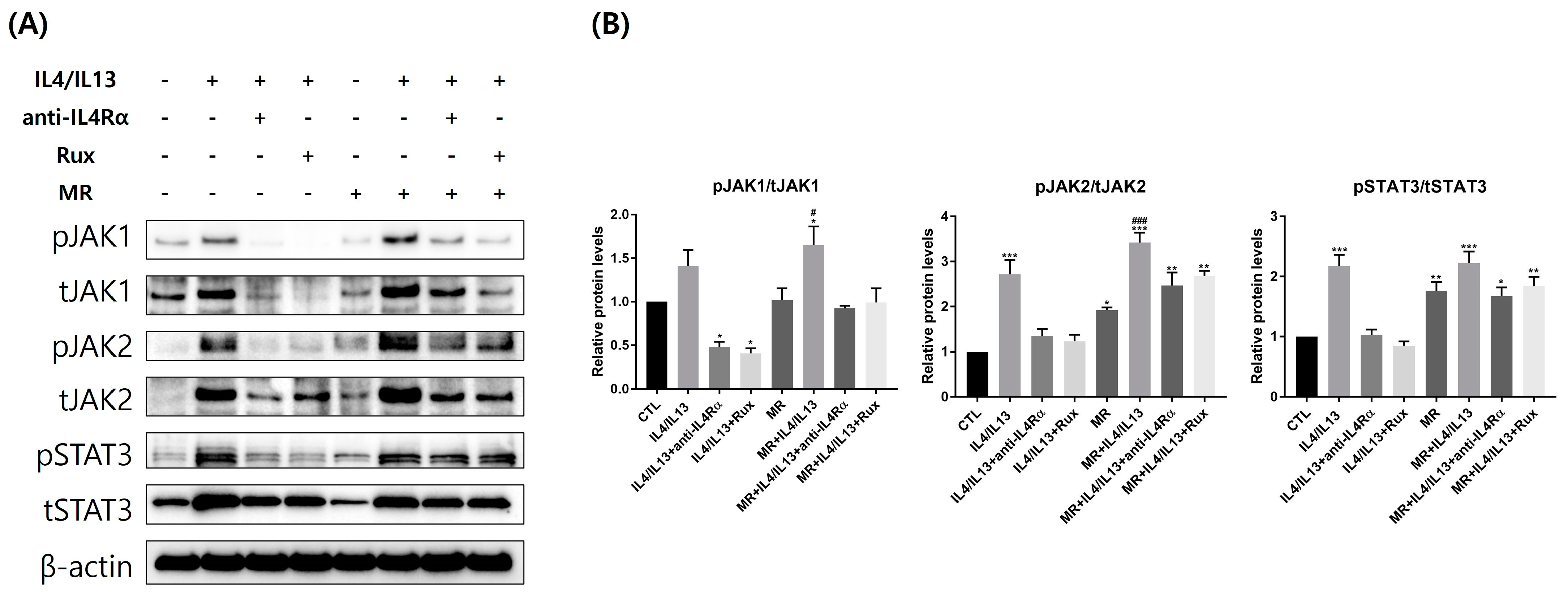 Ijms 24 06171 g006 Ijms 24 06171 g006