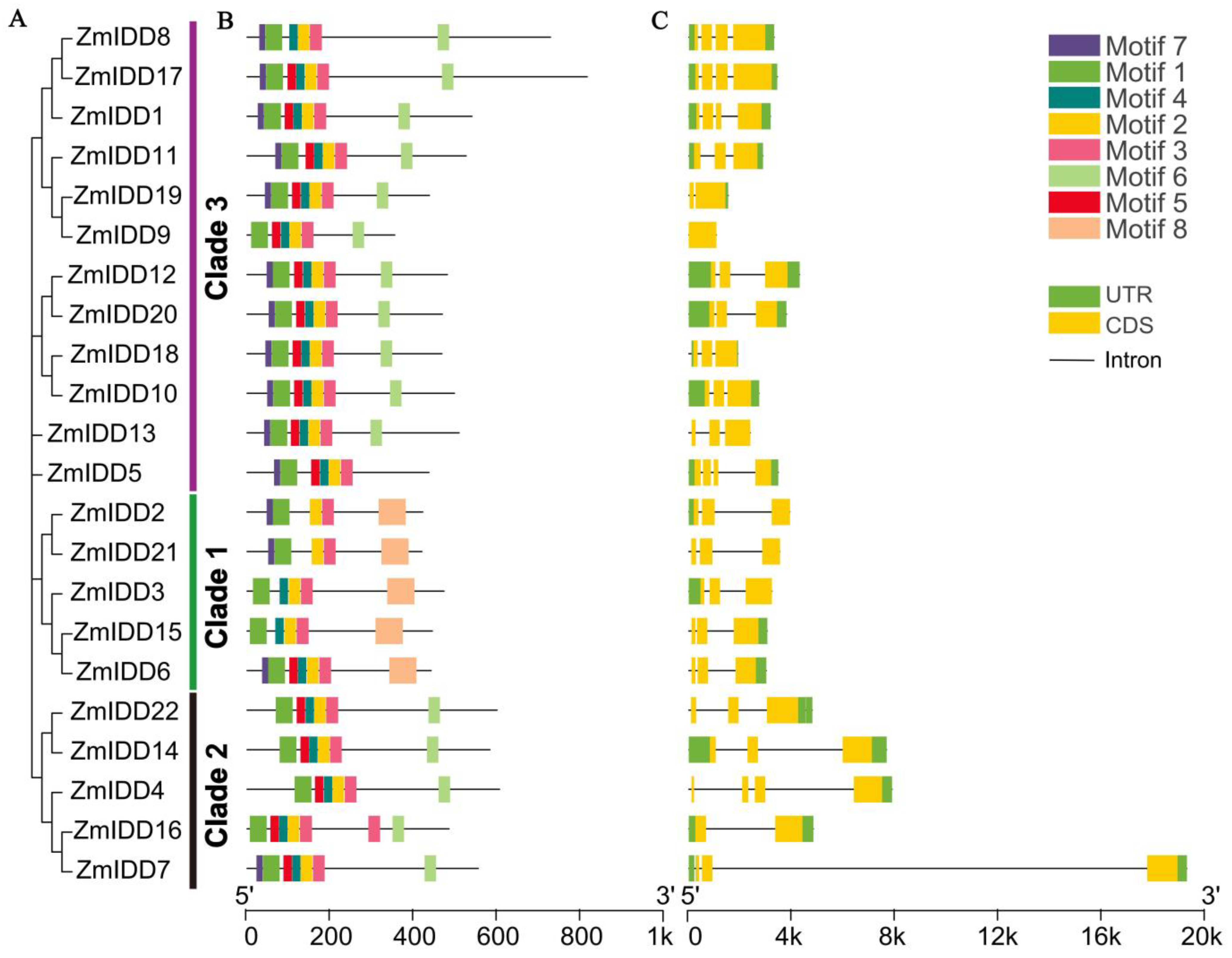 Ijms 24 06185 g002 Ijms 24 06185 g002