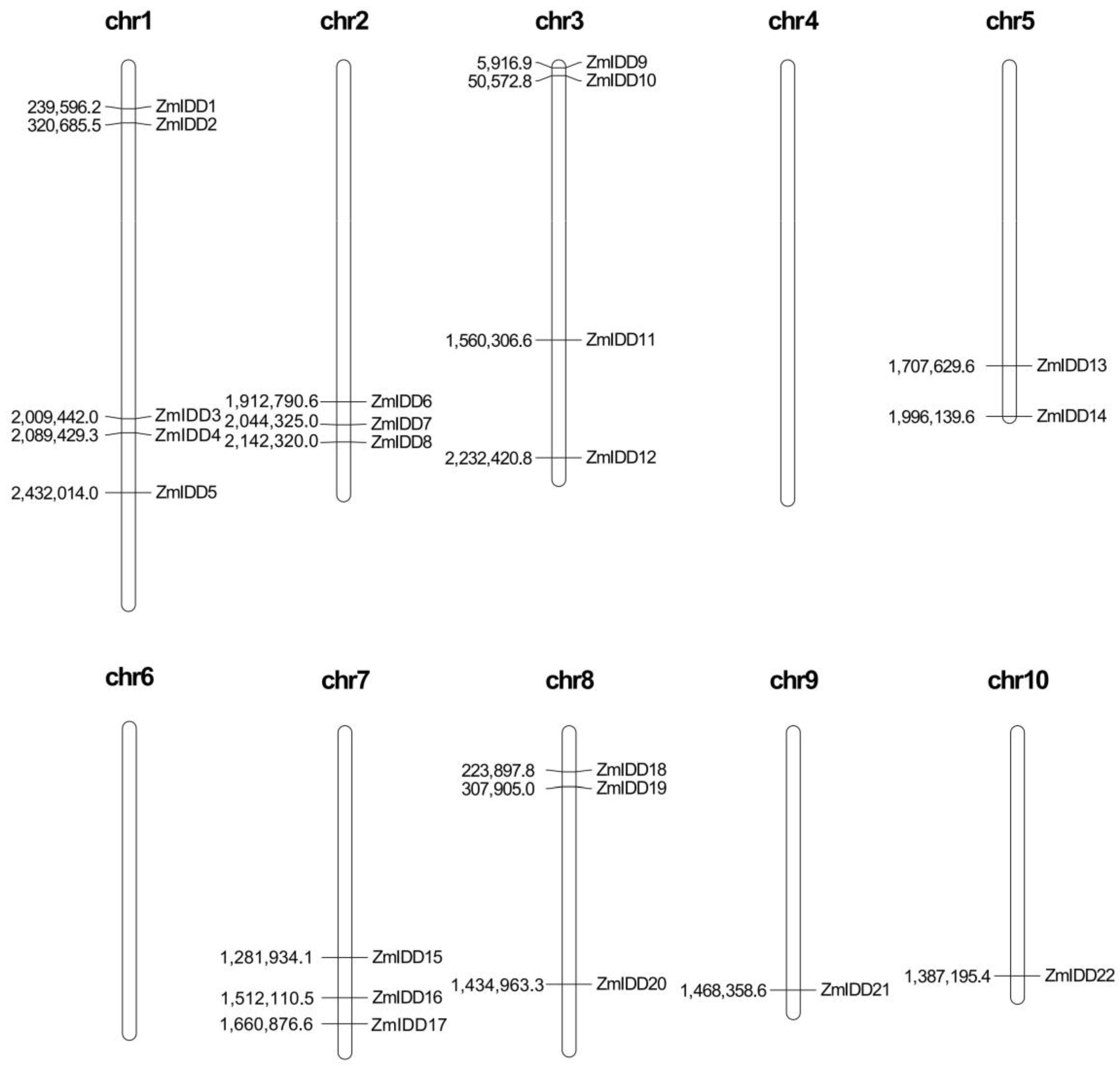 Ijms 24 06185 g005 Ijms 24 06185 g005