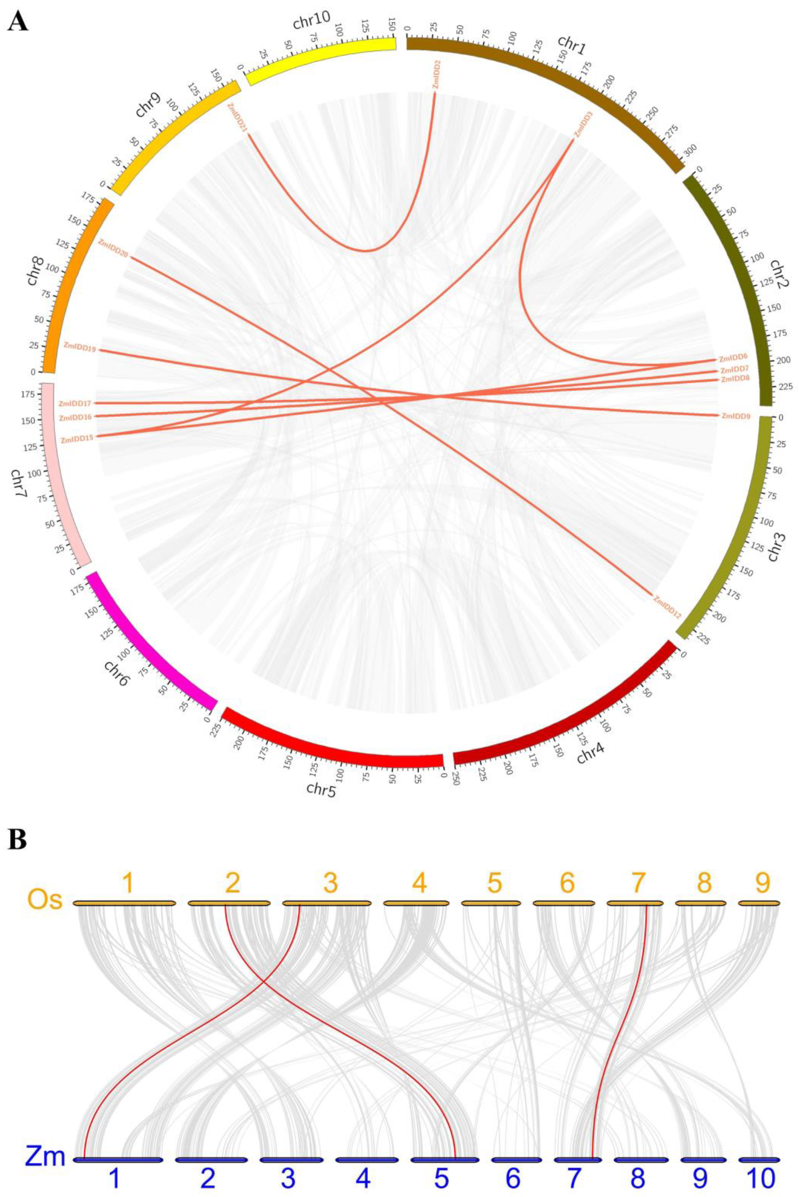 Ijms 24 06185 g006 Ijms 24 06185 g006