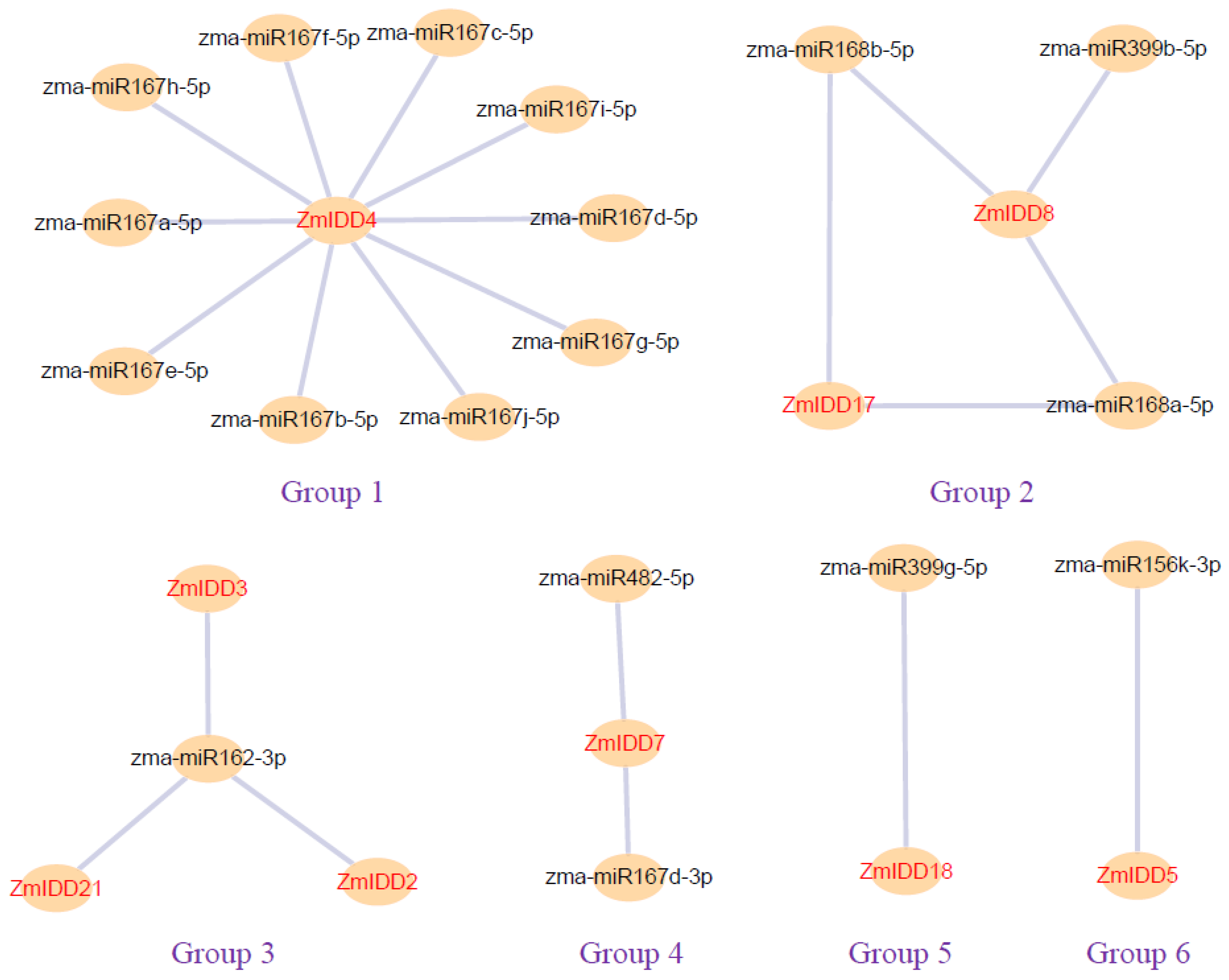 Ijms 24 06185 g010 Ijms 24 06185 g010