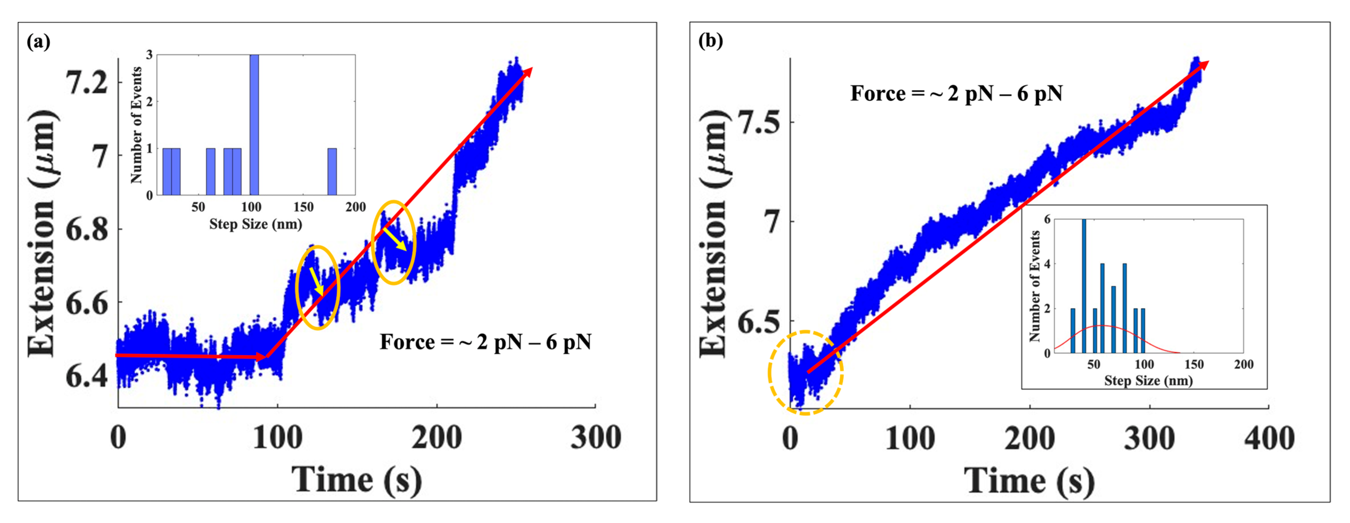 Ijms 24 06188 g003 Ijms 24 06188 g003