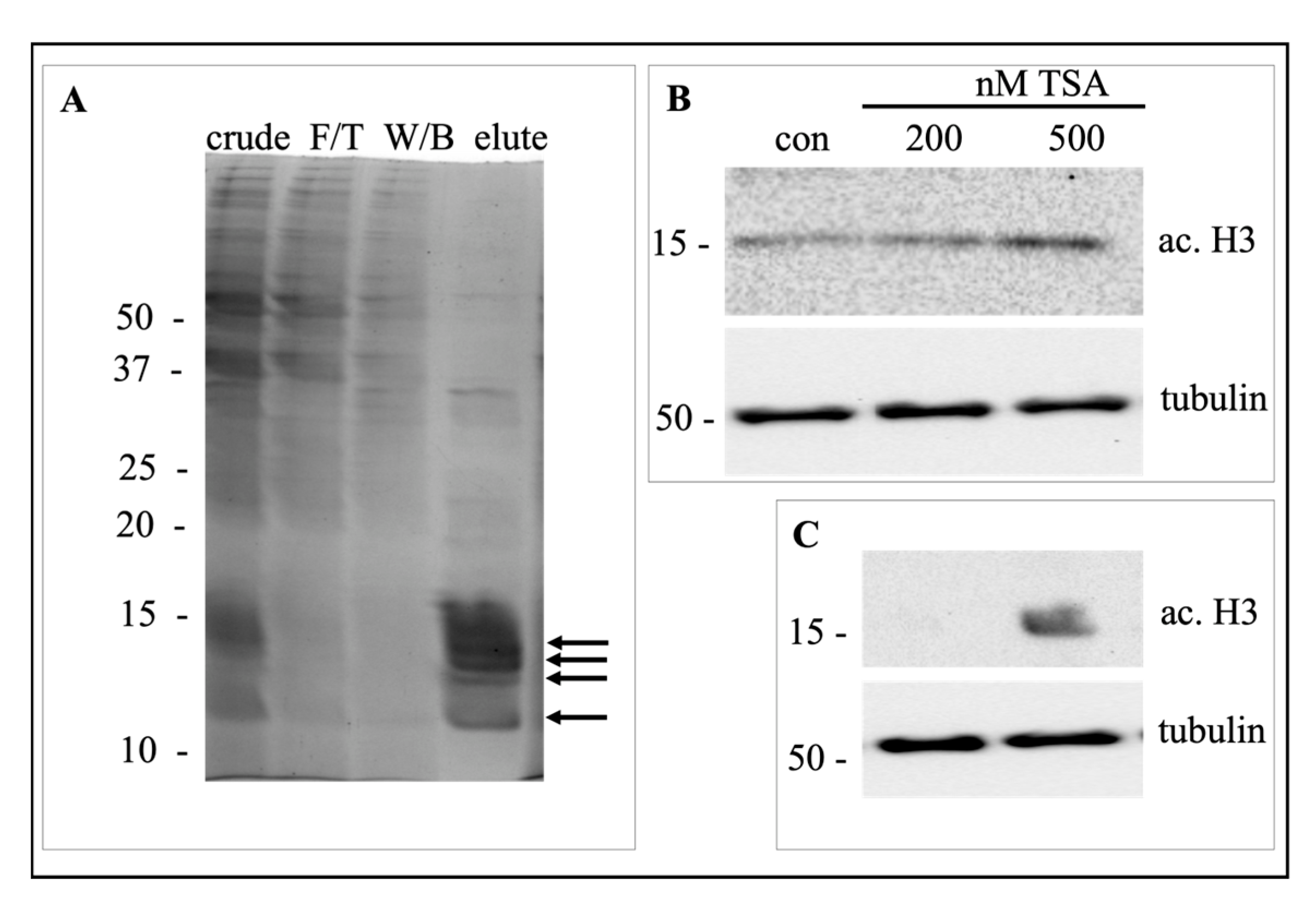 Ijms 24 06188 g006 Ijms 24 06188 g006