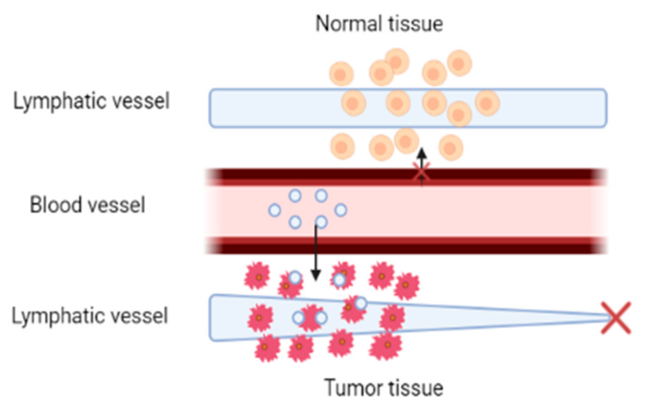 Ijms 24 06199 g005 Ijms 24 06199 g005