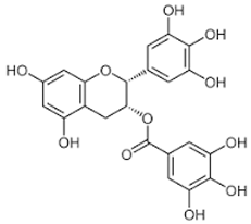 Ijms 24 06211 i004 Ijms 24 06211 i004