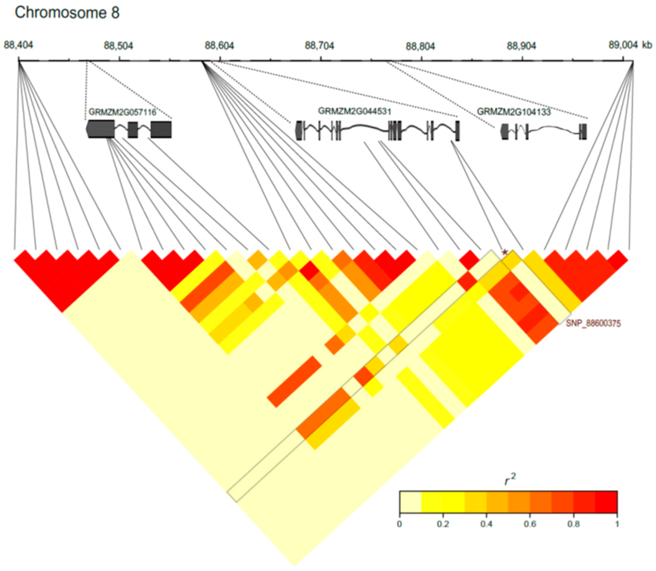 Ijms 24 06233 g005 Ijms 24 06233 g005