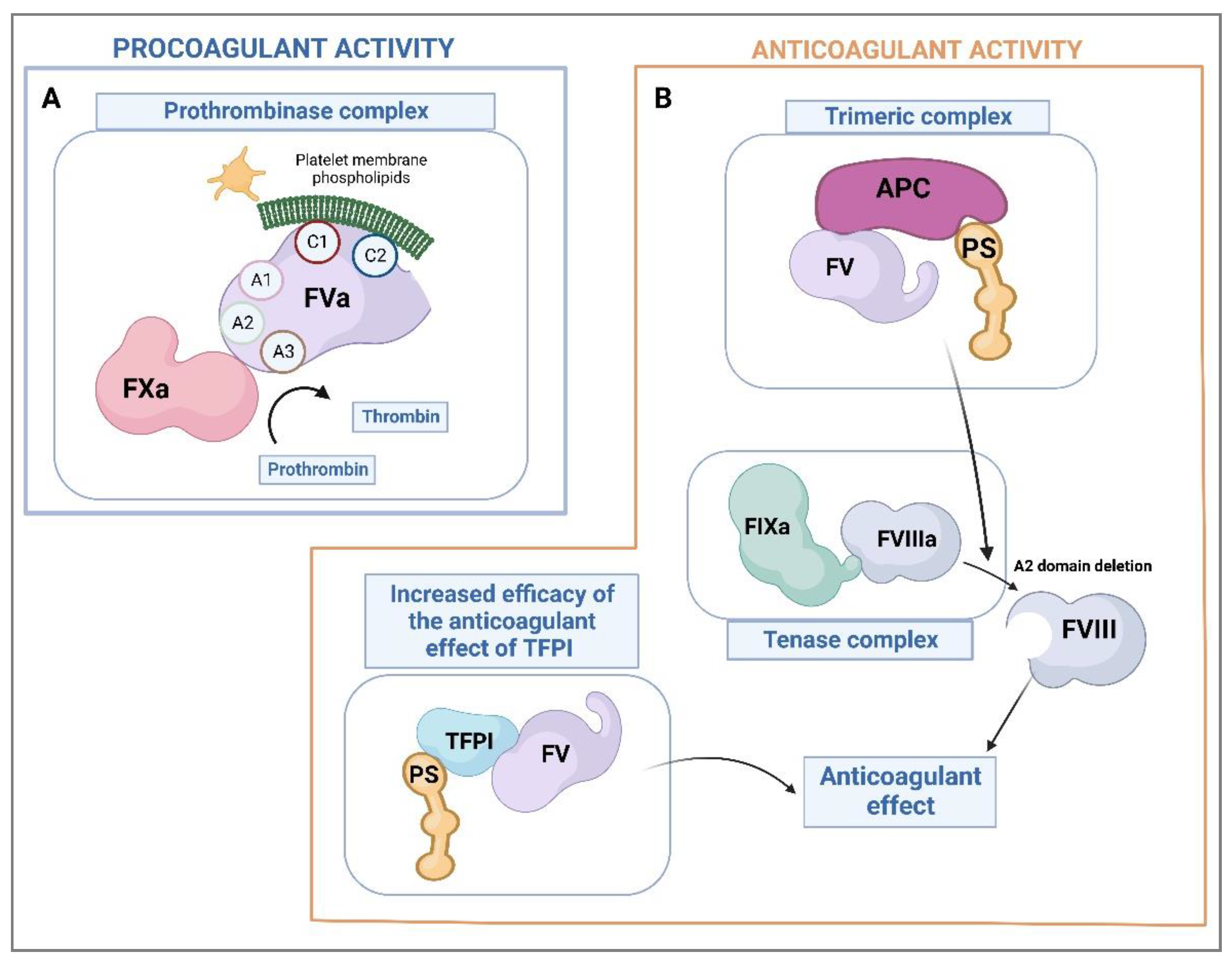 Ijms 24 06243 g002 Ijms 24 06243 g002