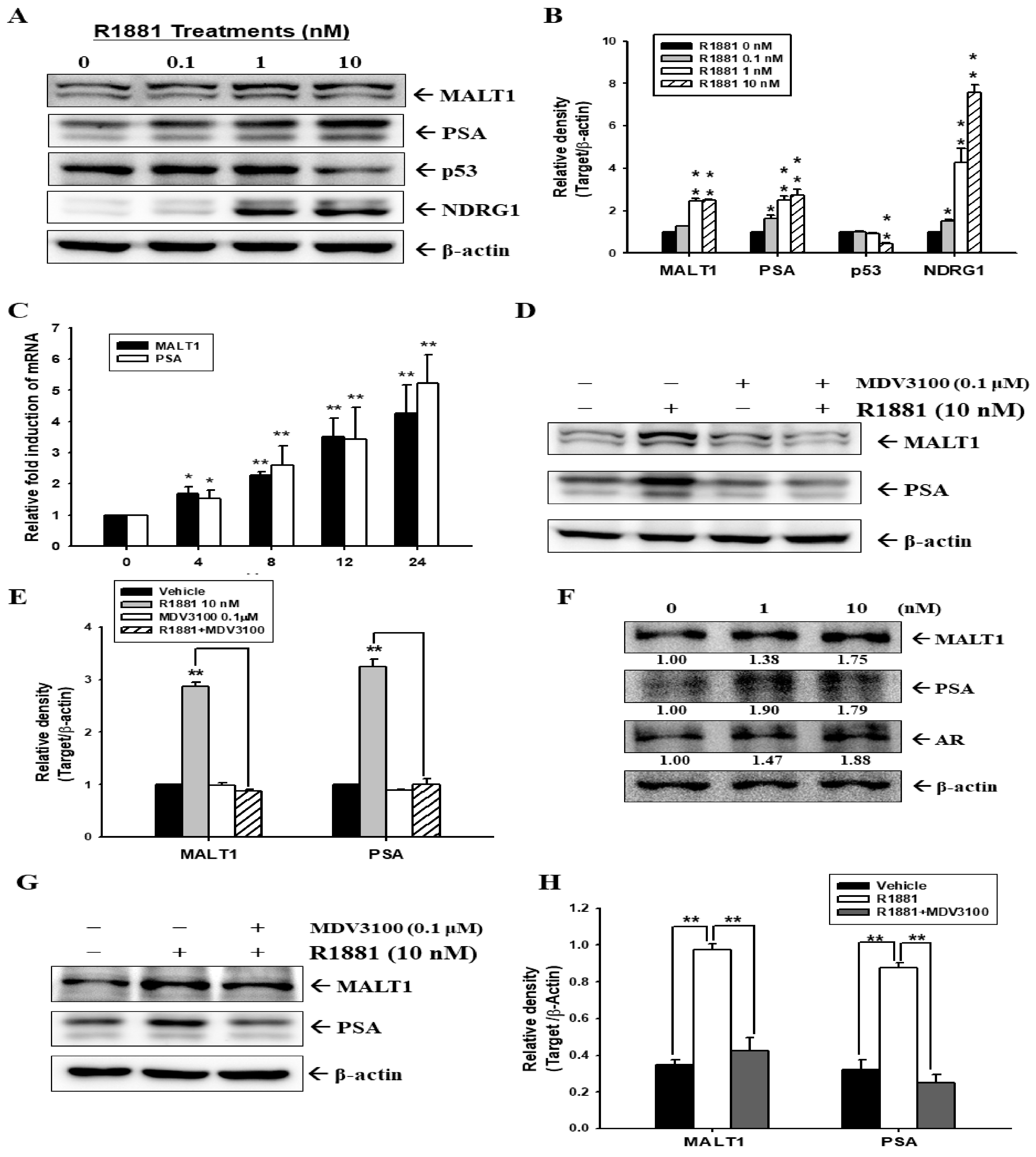Ijms 24 06245 g001 Ijms 24 06245 g001
