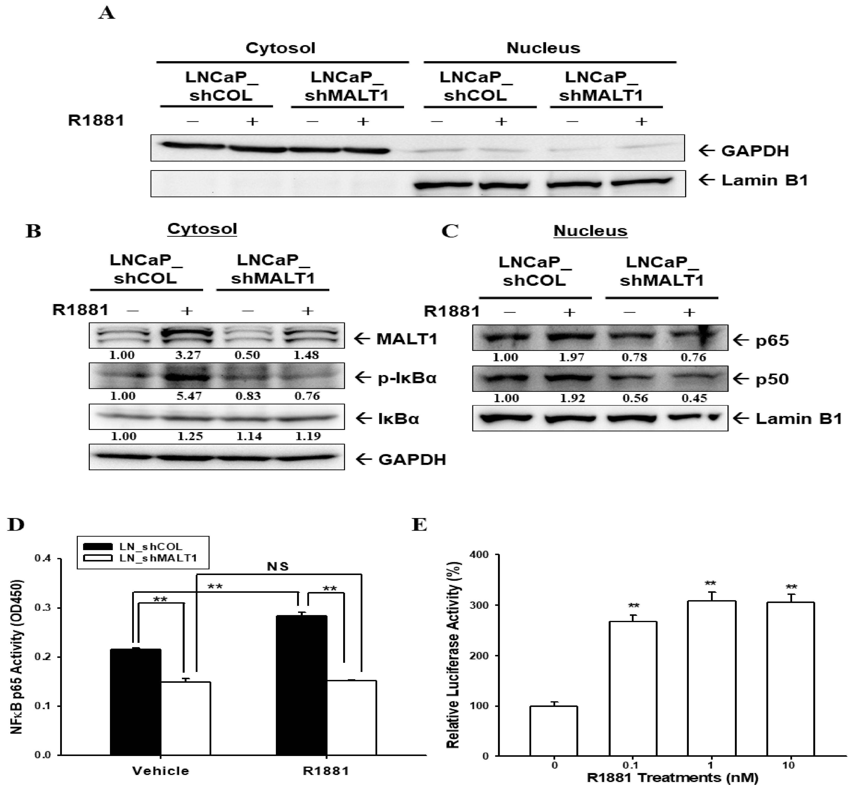 Ijms 24 06245 g003 Ijms 24 06245 g003