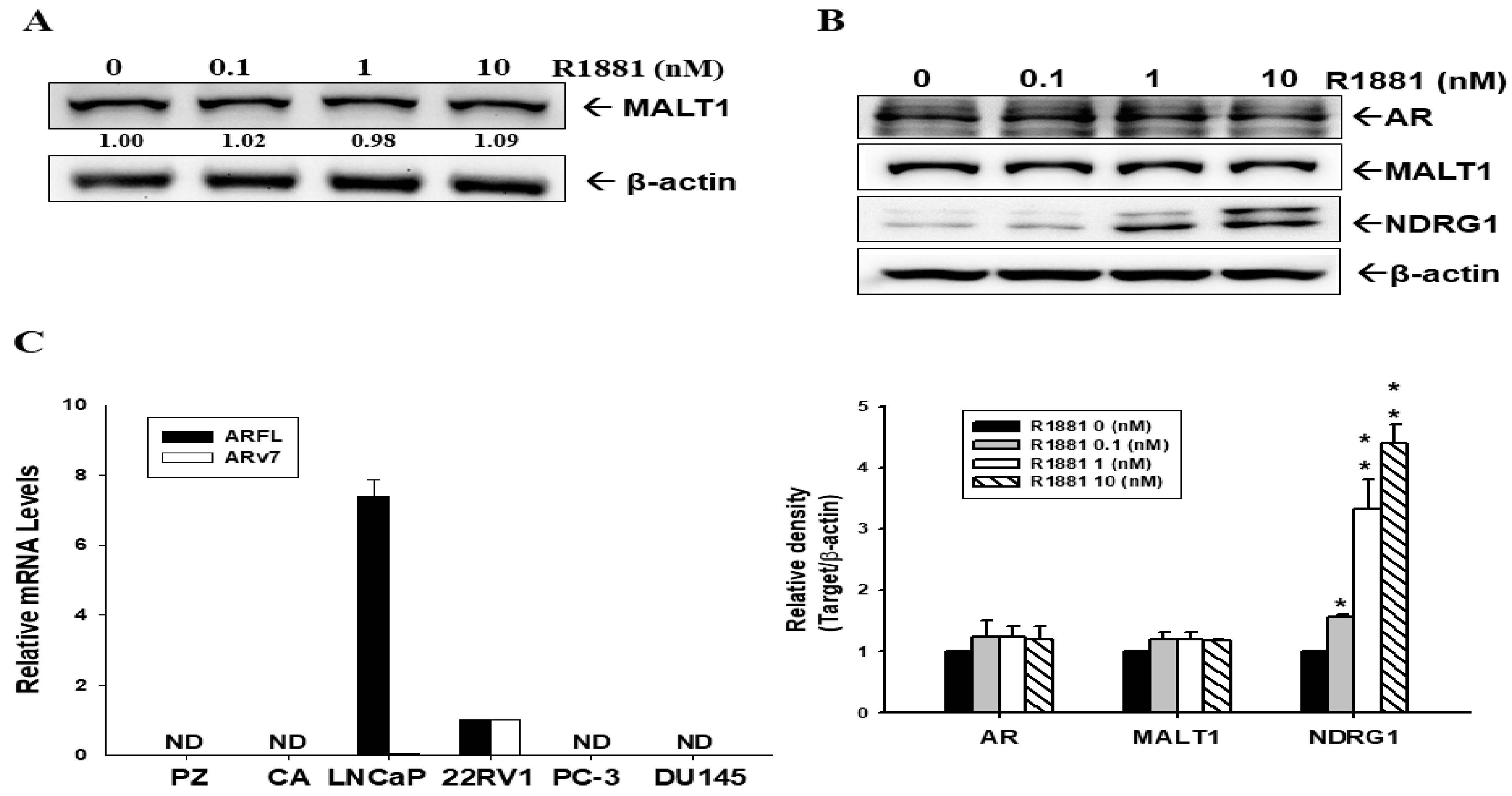 Ijms 24 06245 g004 Ijms 24 06245 g004