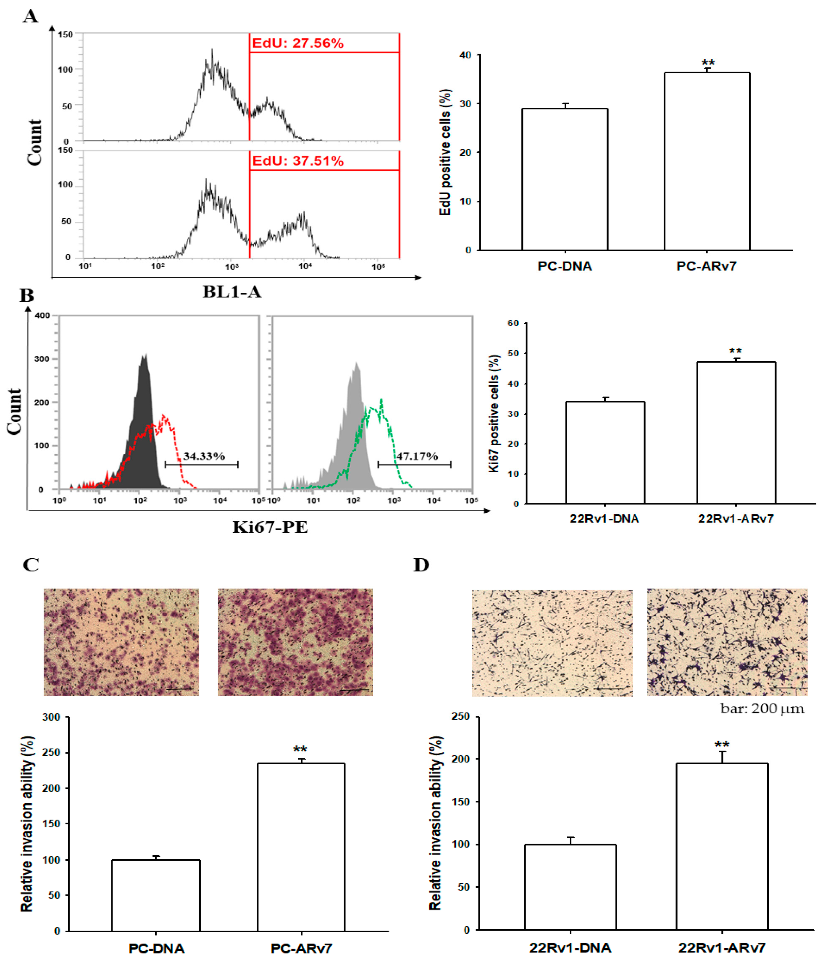Ijms 24 06245 g006 Ijms 24 06245 g006
