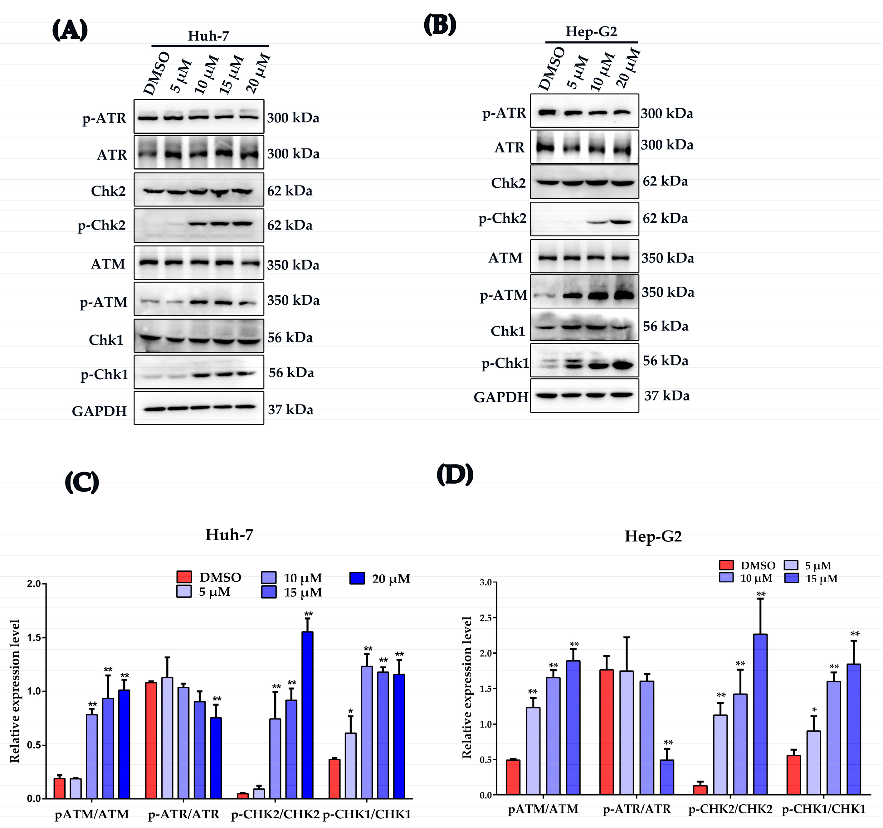 Ijms 24 06279 g005 Ijms 24 06279 g005