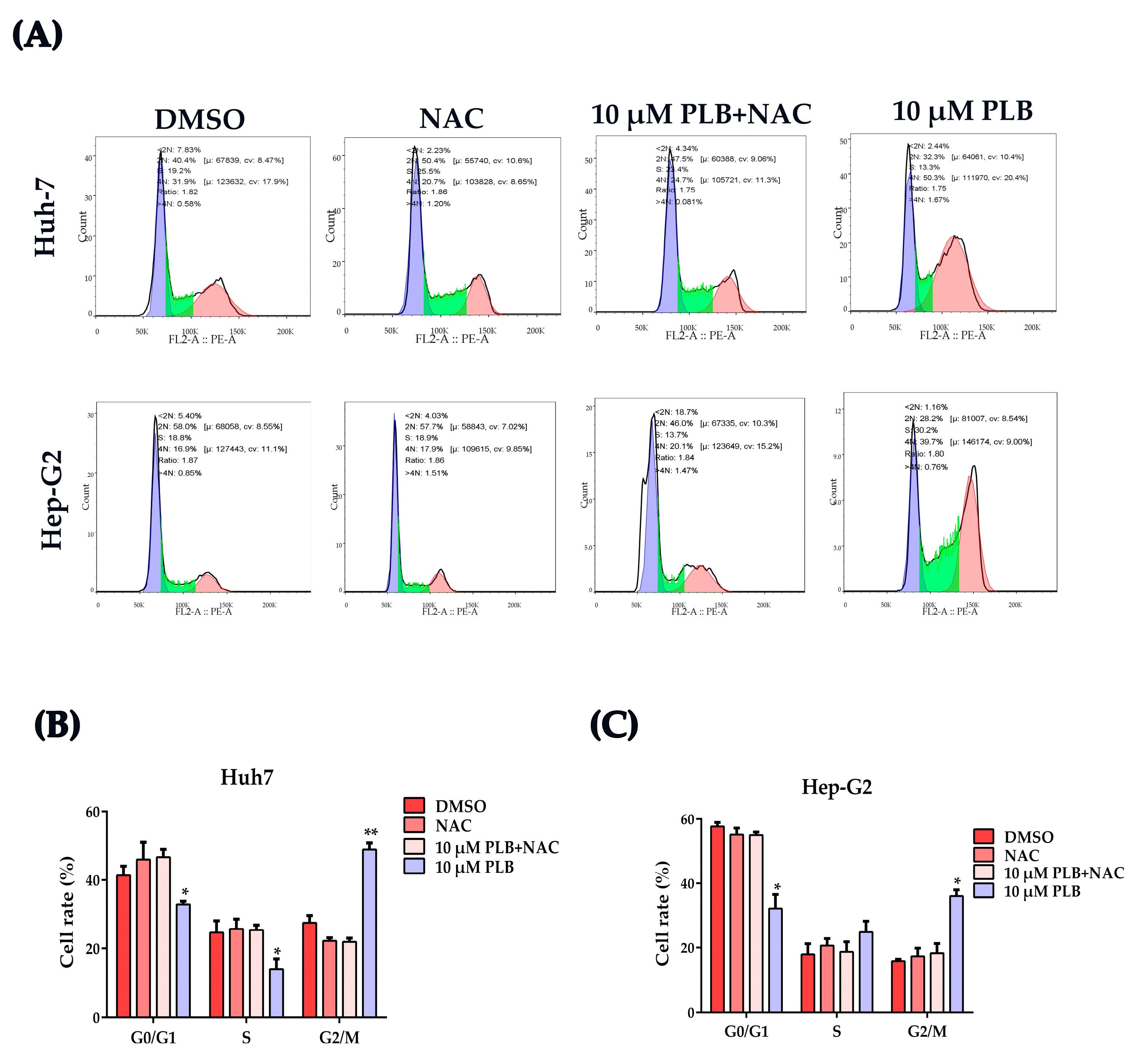 Ijms 24 06279 g007 Ijms 24 06279 g007