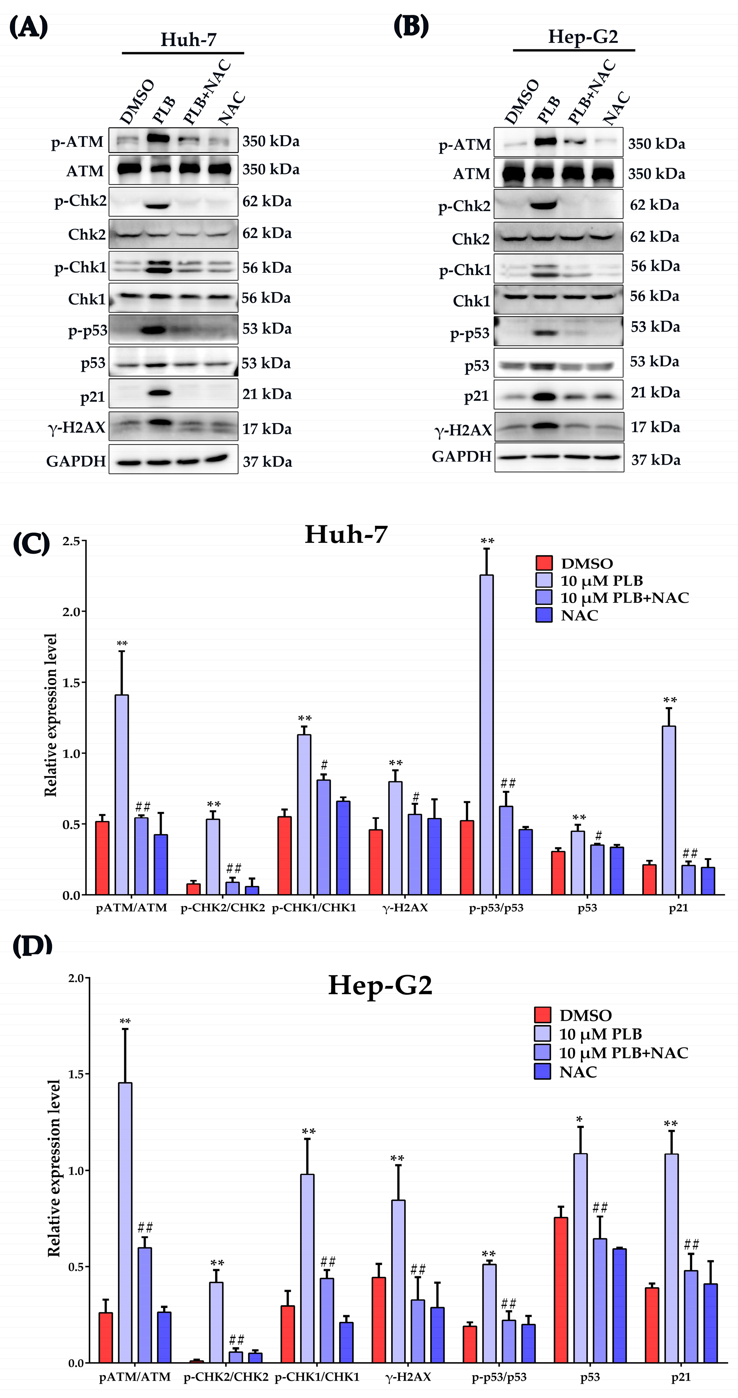 Ijms 24 06279 g008 Ijms 24 06279 g008