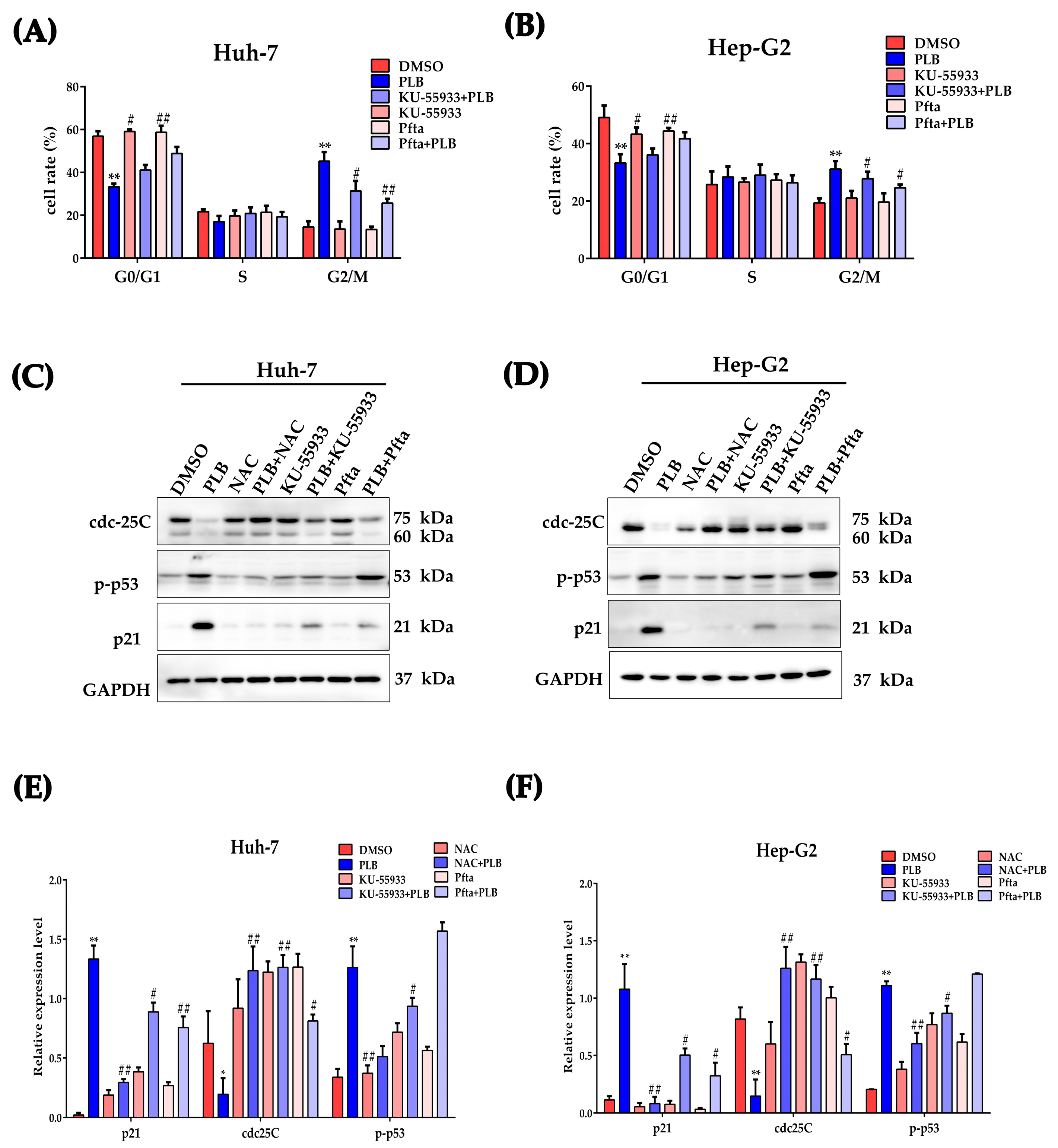 Ijms 24 06279 g010 Ijms 24 06279 g010