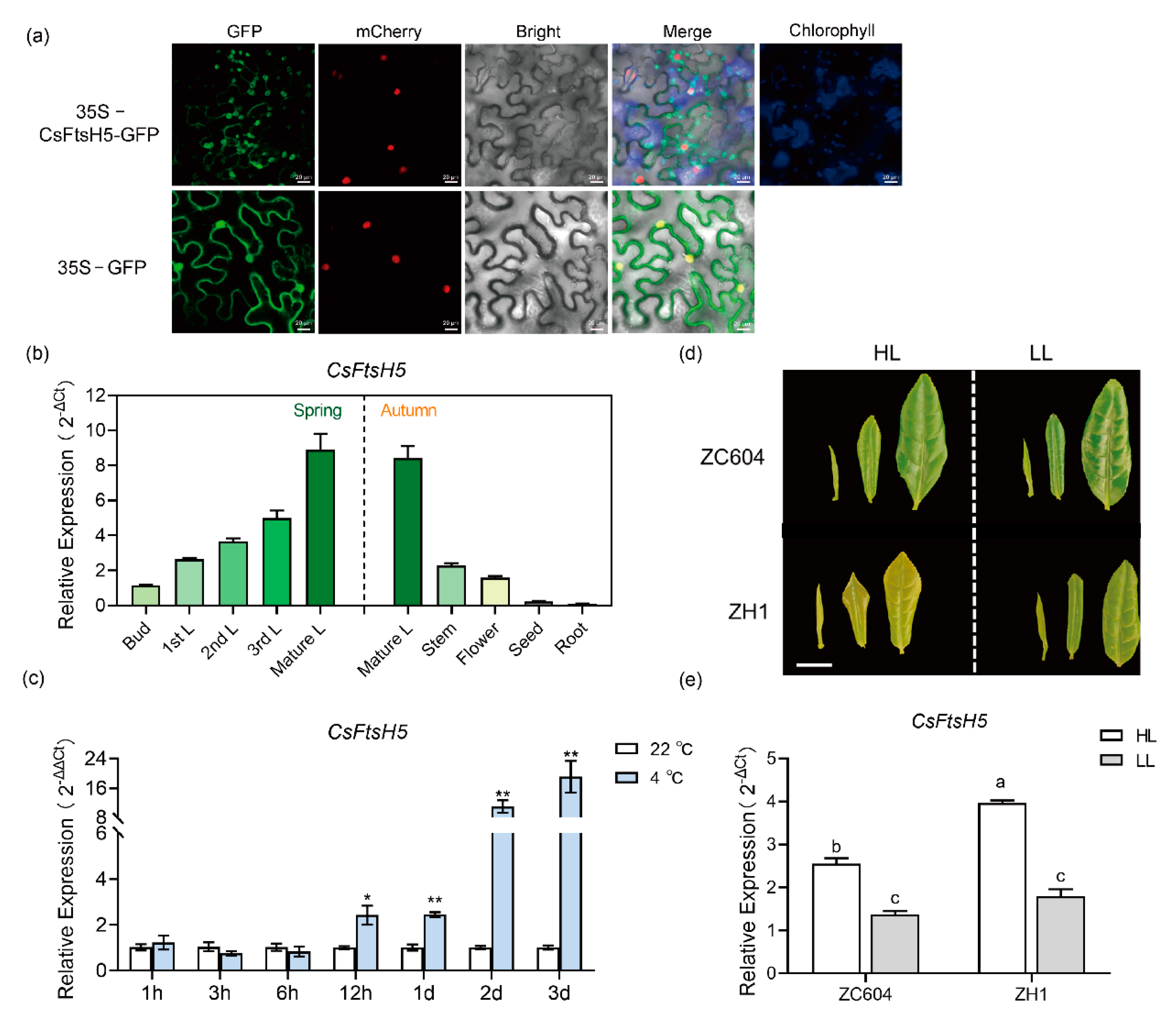 Ijms 24 06288 g002 Ijms 24 06288 g002