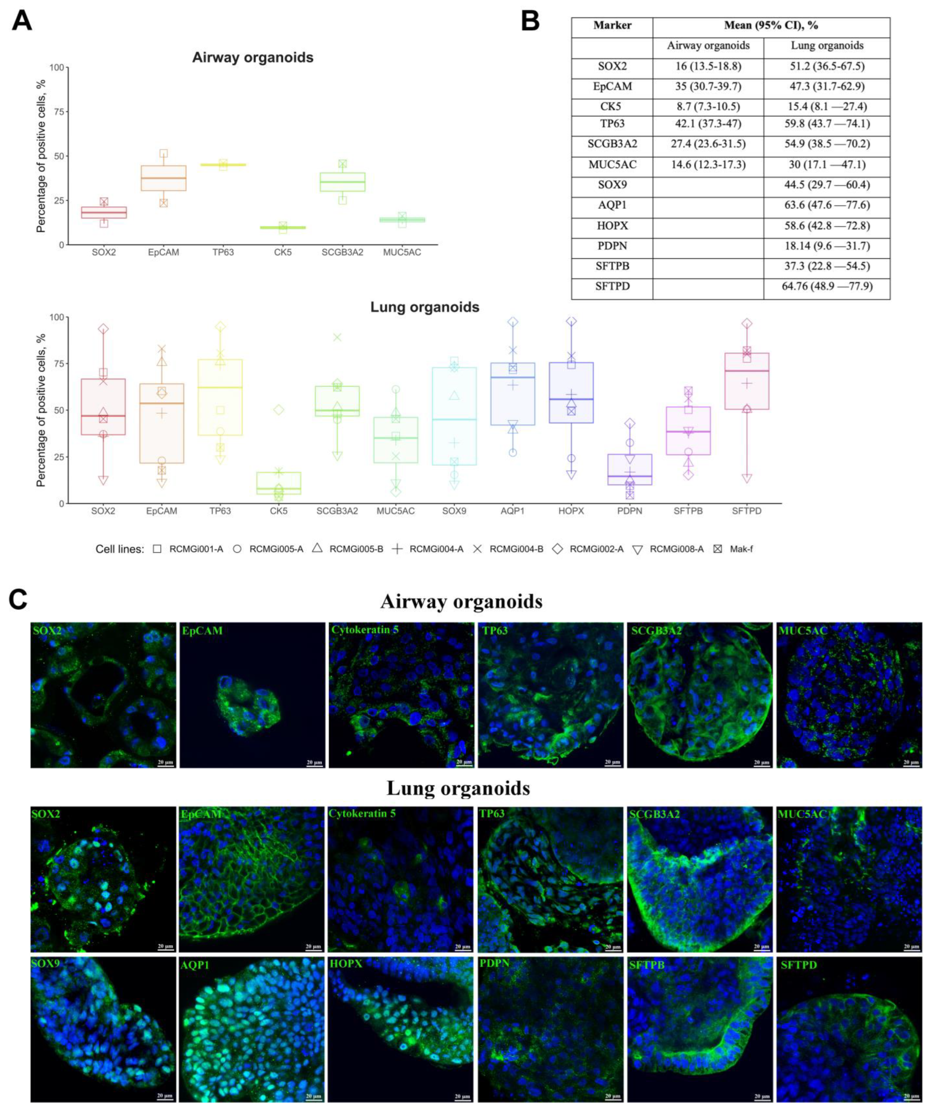 Ijms 24 06293 g002 Ijms 24 06293 g002