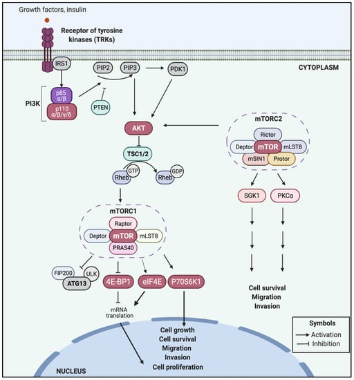 IJMS | Free Full-Text | Long Non-Coding RNAs (lncRNAs) As Regulators Of ...