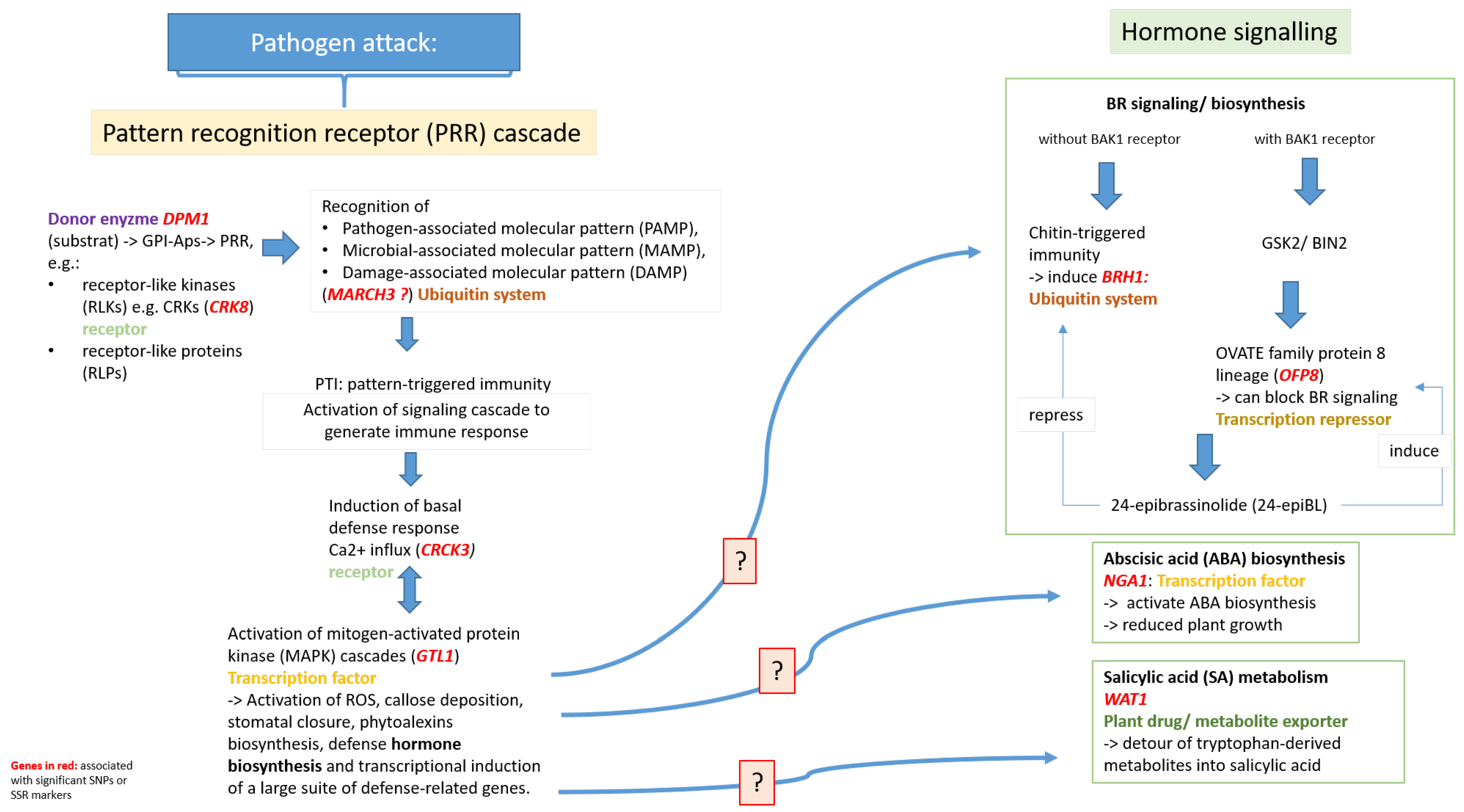 Ijms 24 06307 g002 Ijms 24 06307 g002