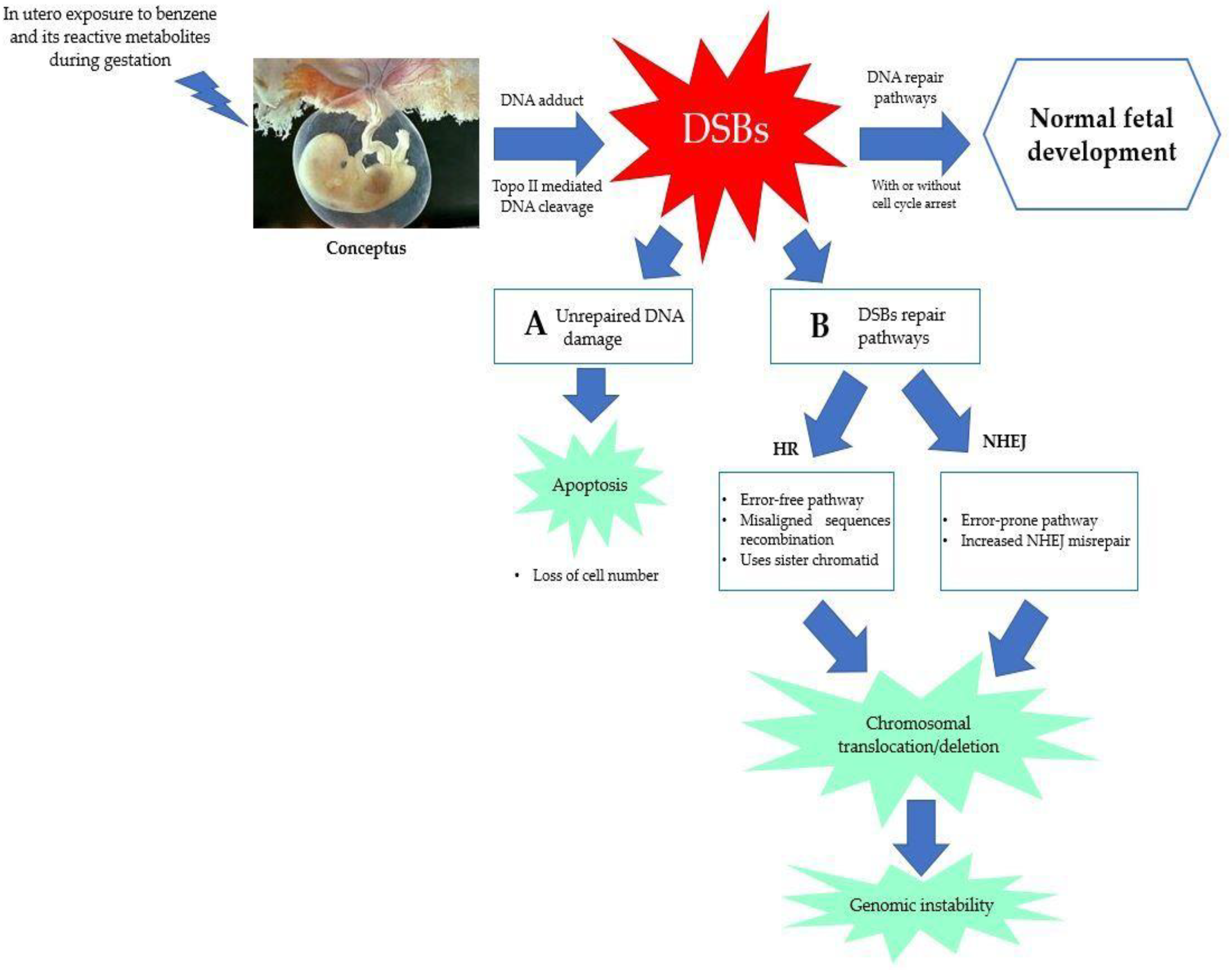 Ijms 24 06335 g004 Ijms 24 06335 g004