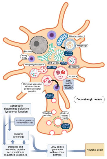 Gibson reveals diagnosis of Parkinson's disease