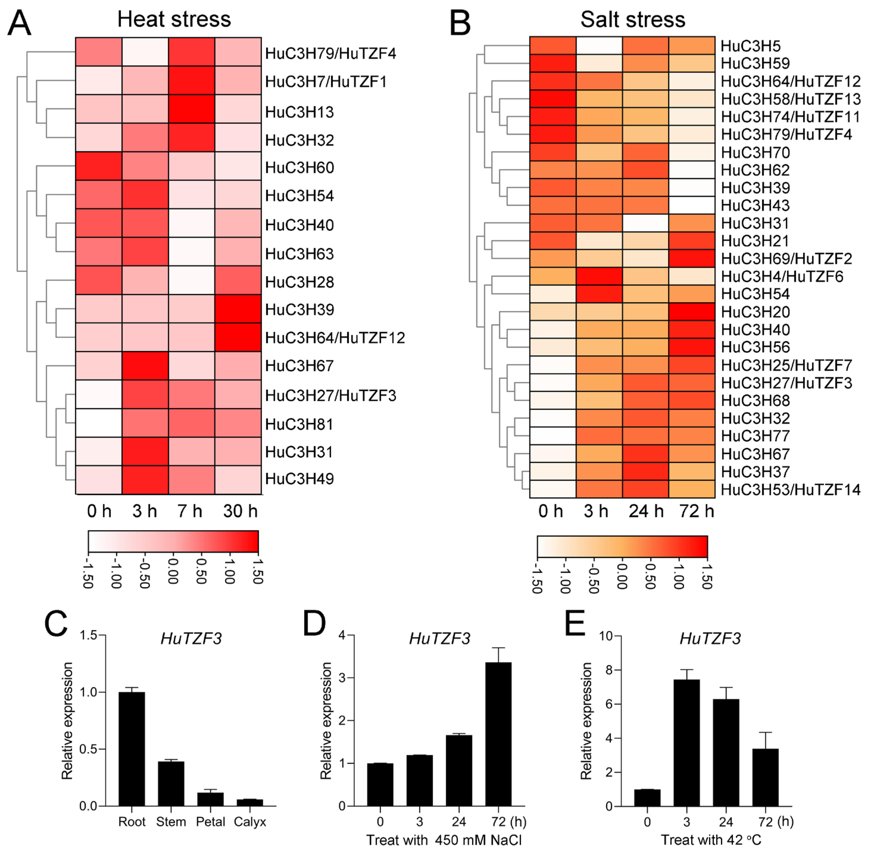 Genomic Identification Of CCCH-Type Zinc Finger Protein Genes Reveals ...