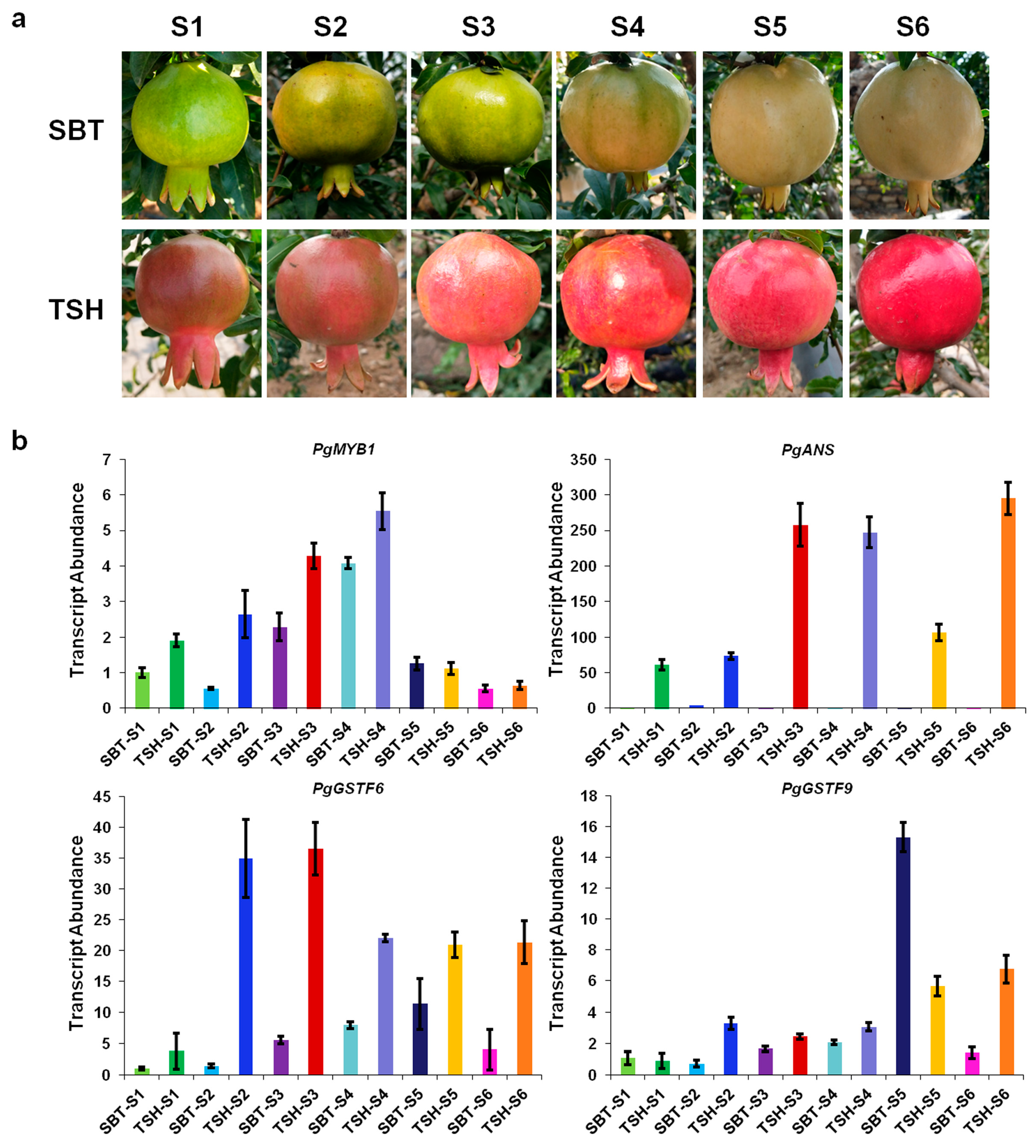 Ijms 24 06366 g003 Ijms 24 06366 g003