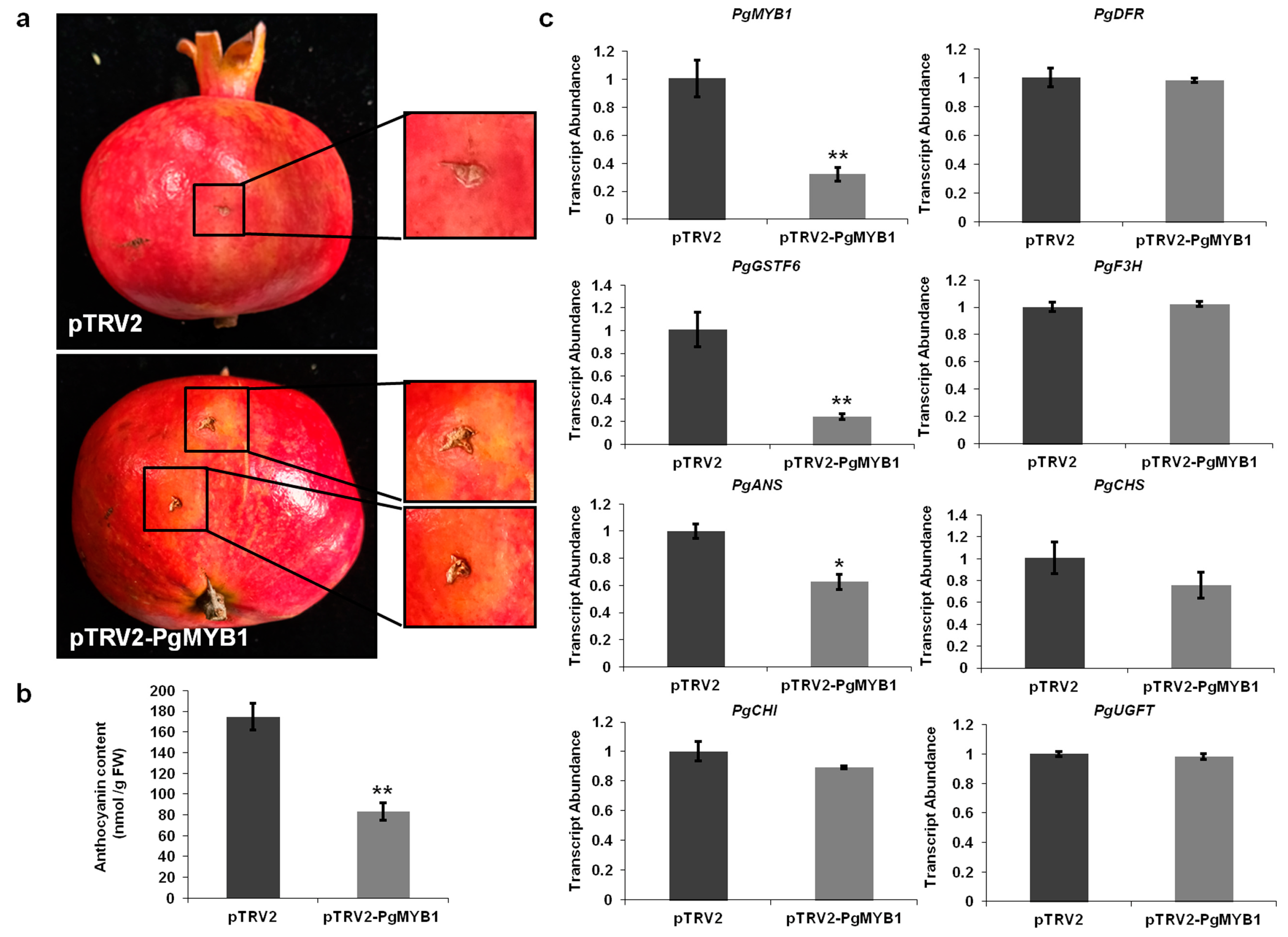 Ijms 24 06366 g004 Ijms 24 06366 g004