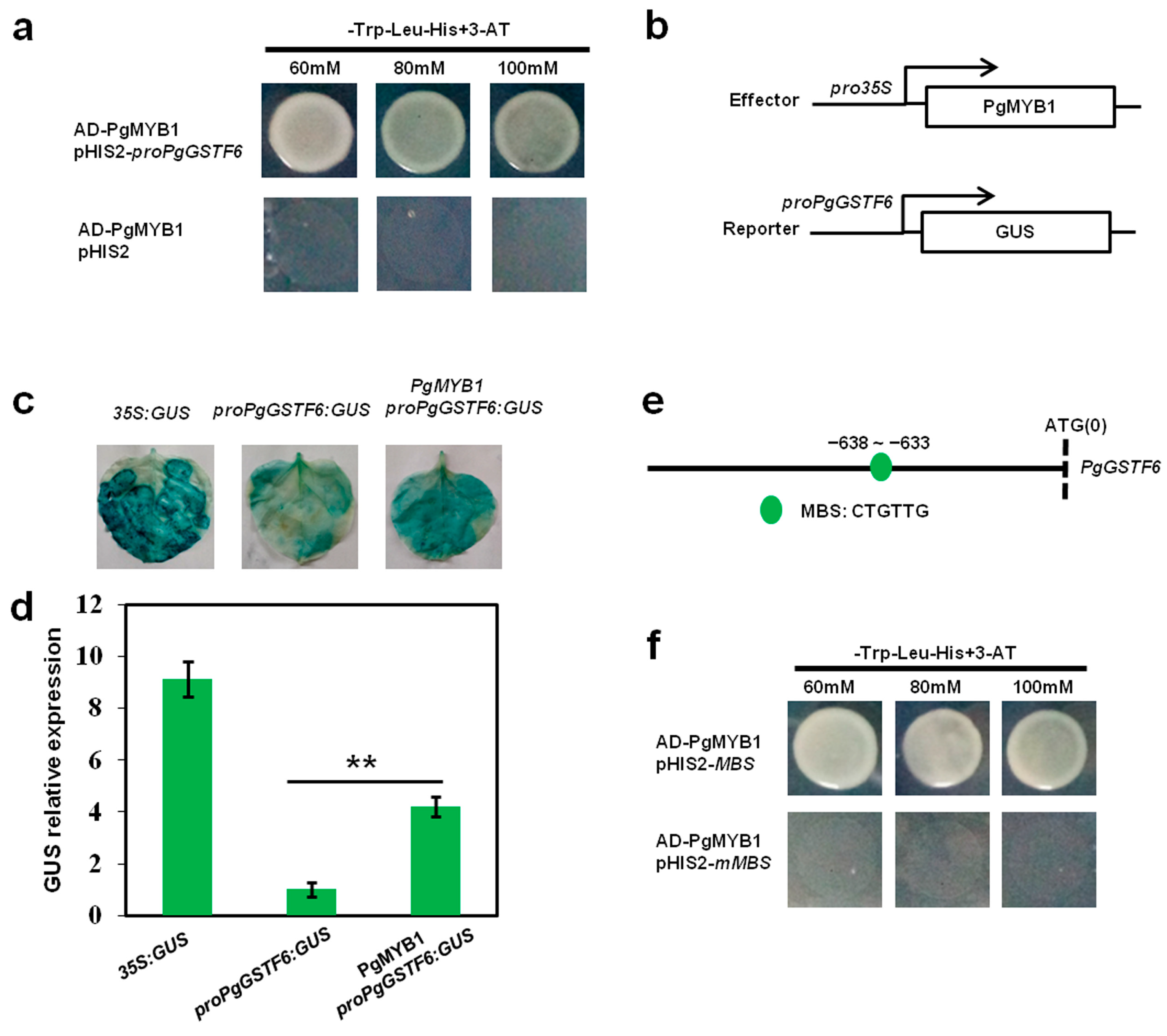 Ijms 24 06366 g005 Ijms 24 06366 g005