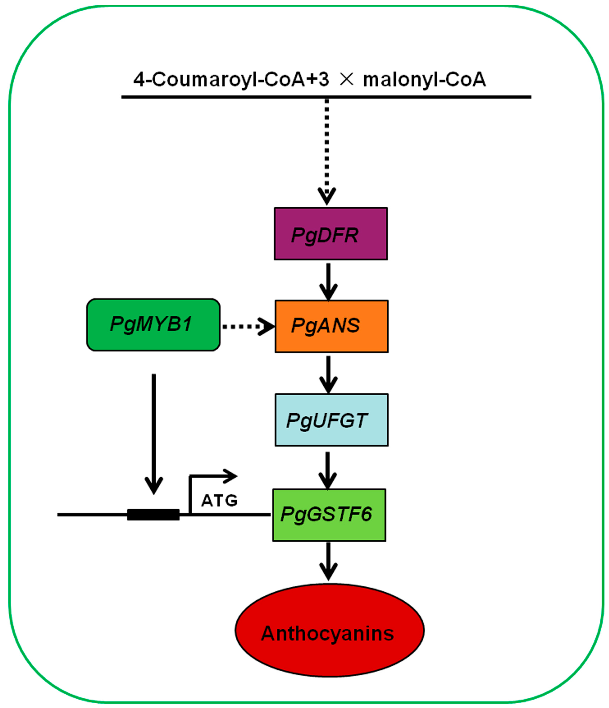 Ijms 24 06366 g006 Ijms 24 06366 g006