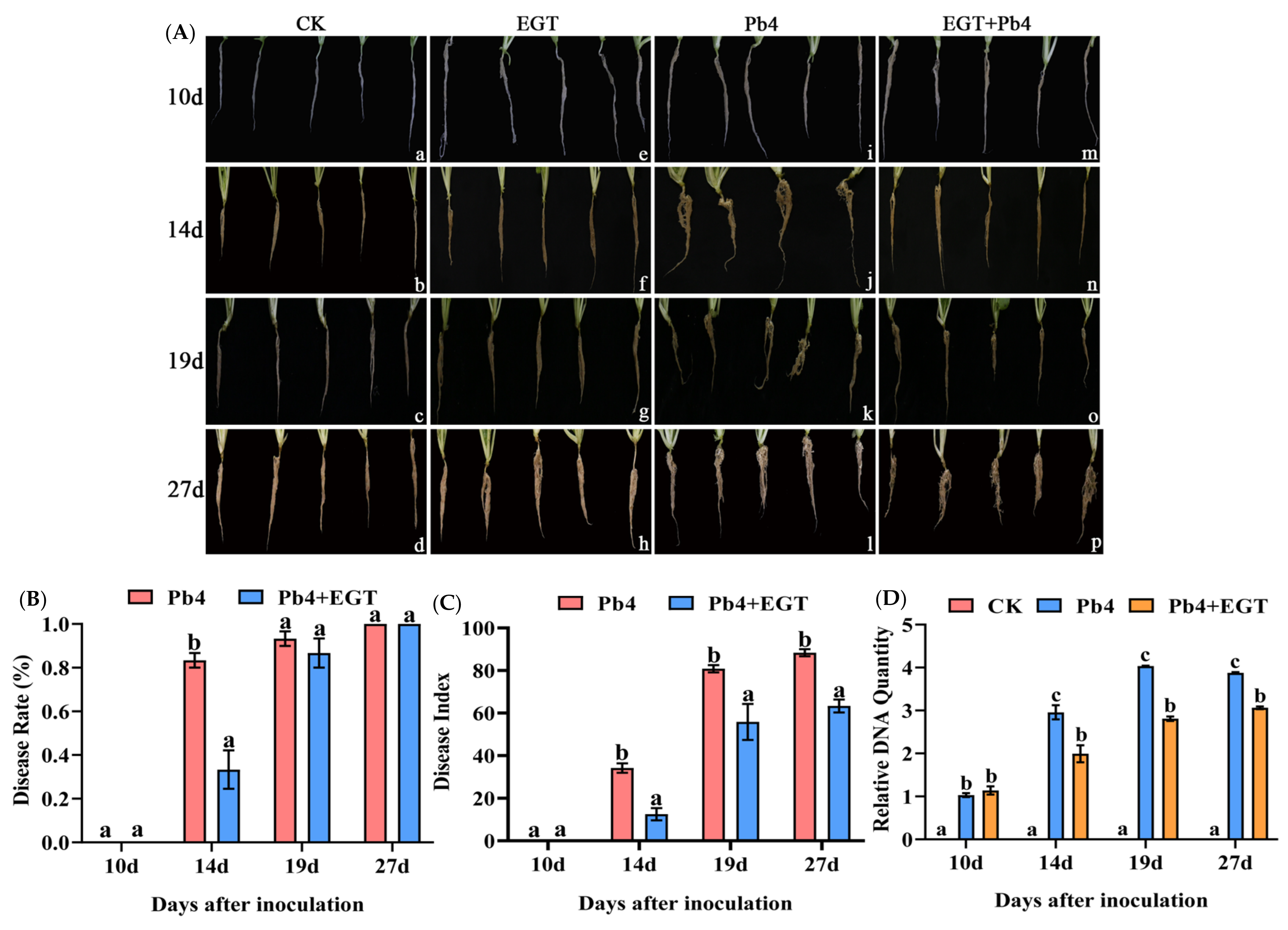 Ijms 24 06380 g001 Ijms 24 06380 g001