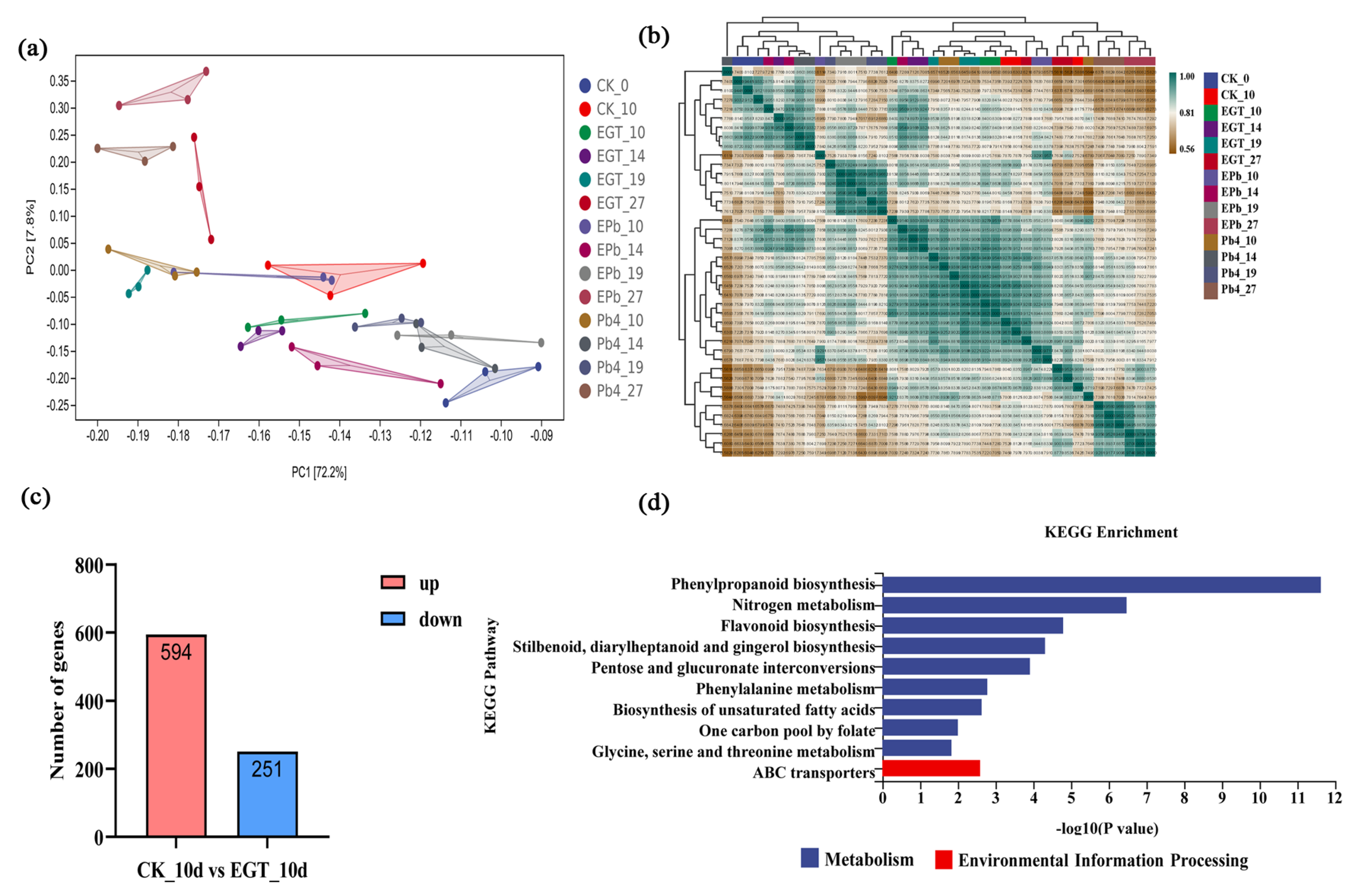Ijms 24 06380 g003 Ijms 24 06380 g003