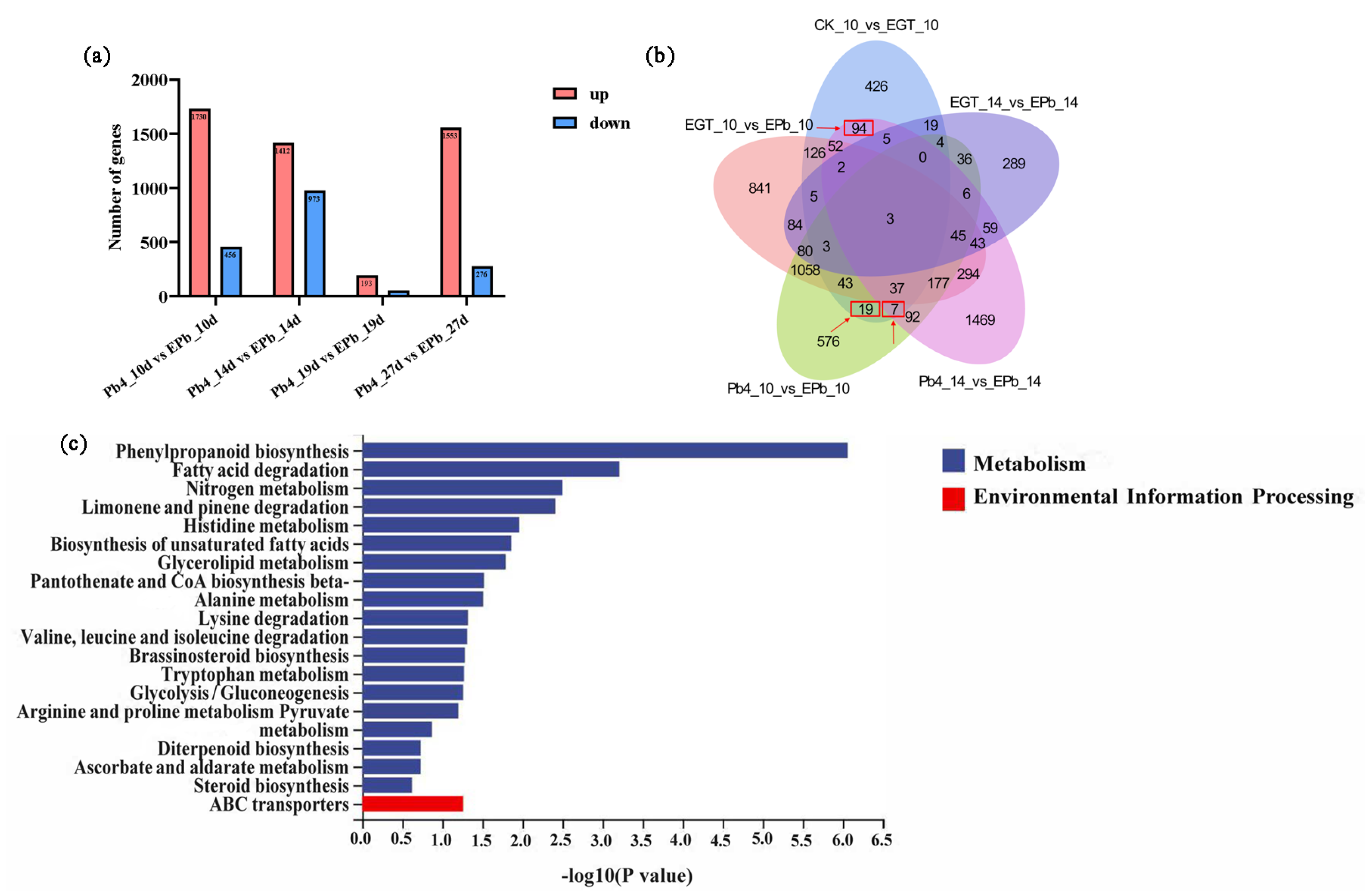 Ijms 24 06380 g004 Ijms 24 06380 g004