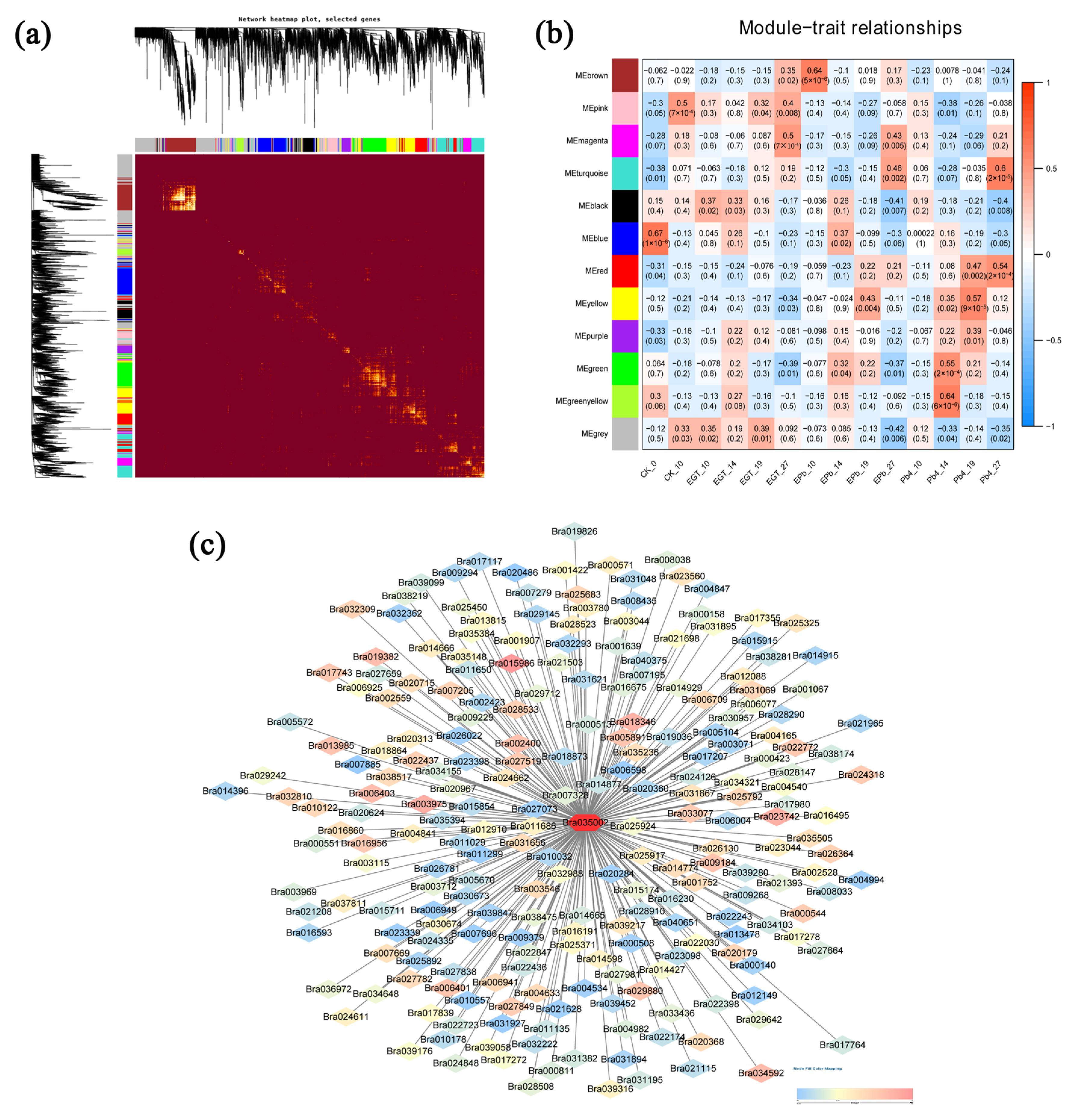 Ijms 24 06380 g005 Ijms 24 06380 g005