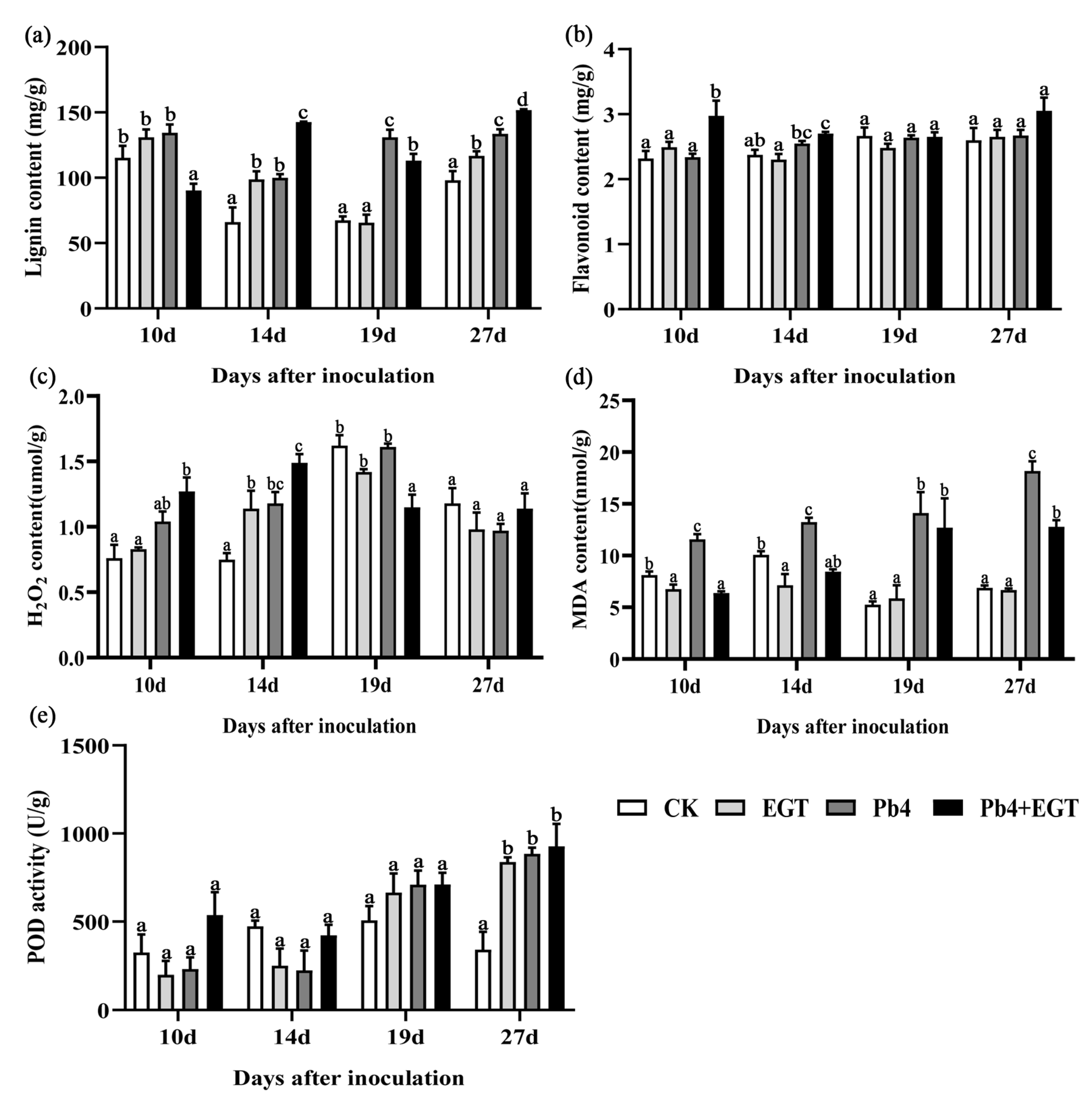 Ijms 24 06380 g006 Ijms 24 06380 g006