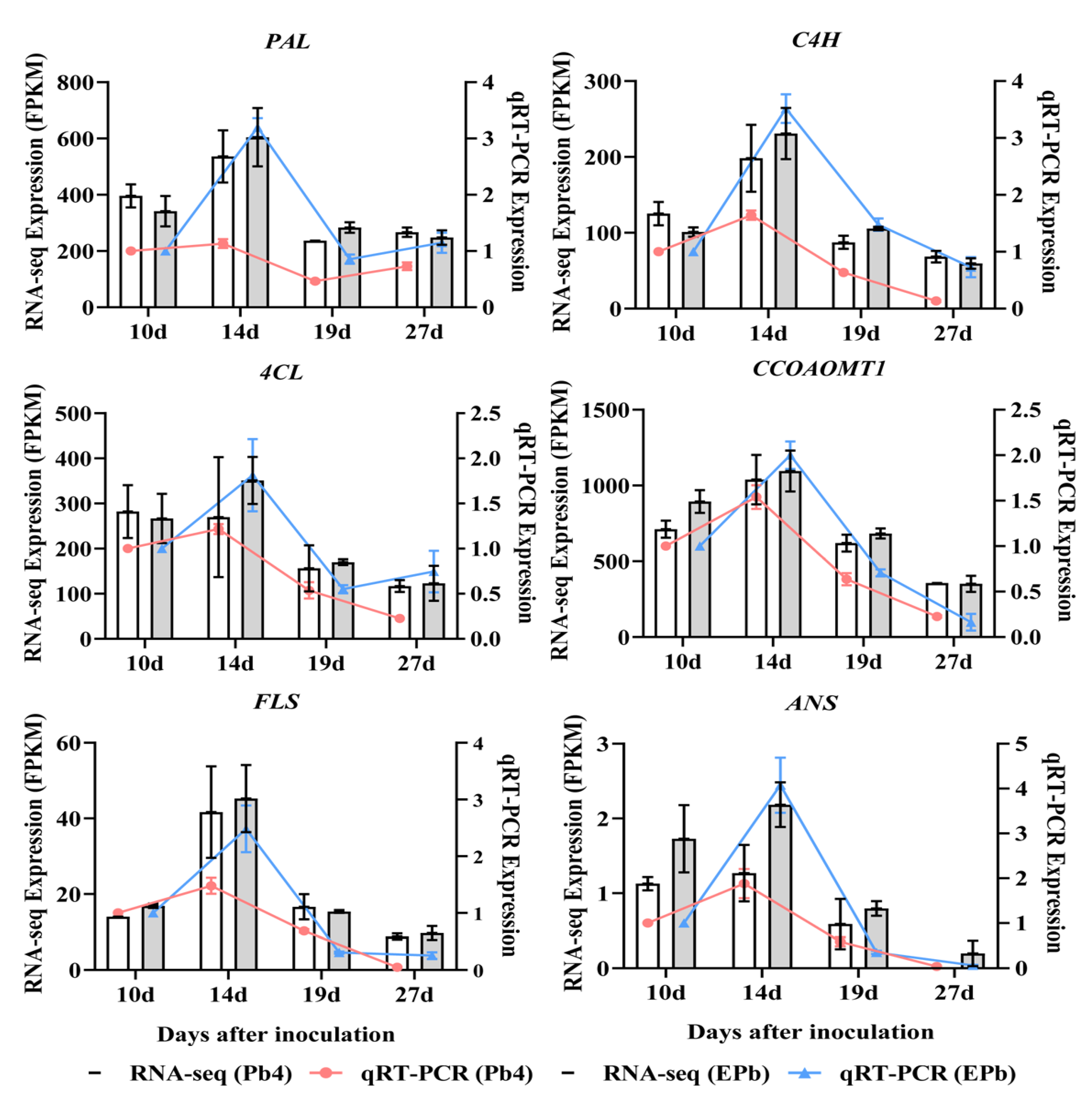 Ijms 24 06380 g007 Ijms 24 06380 g007