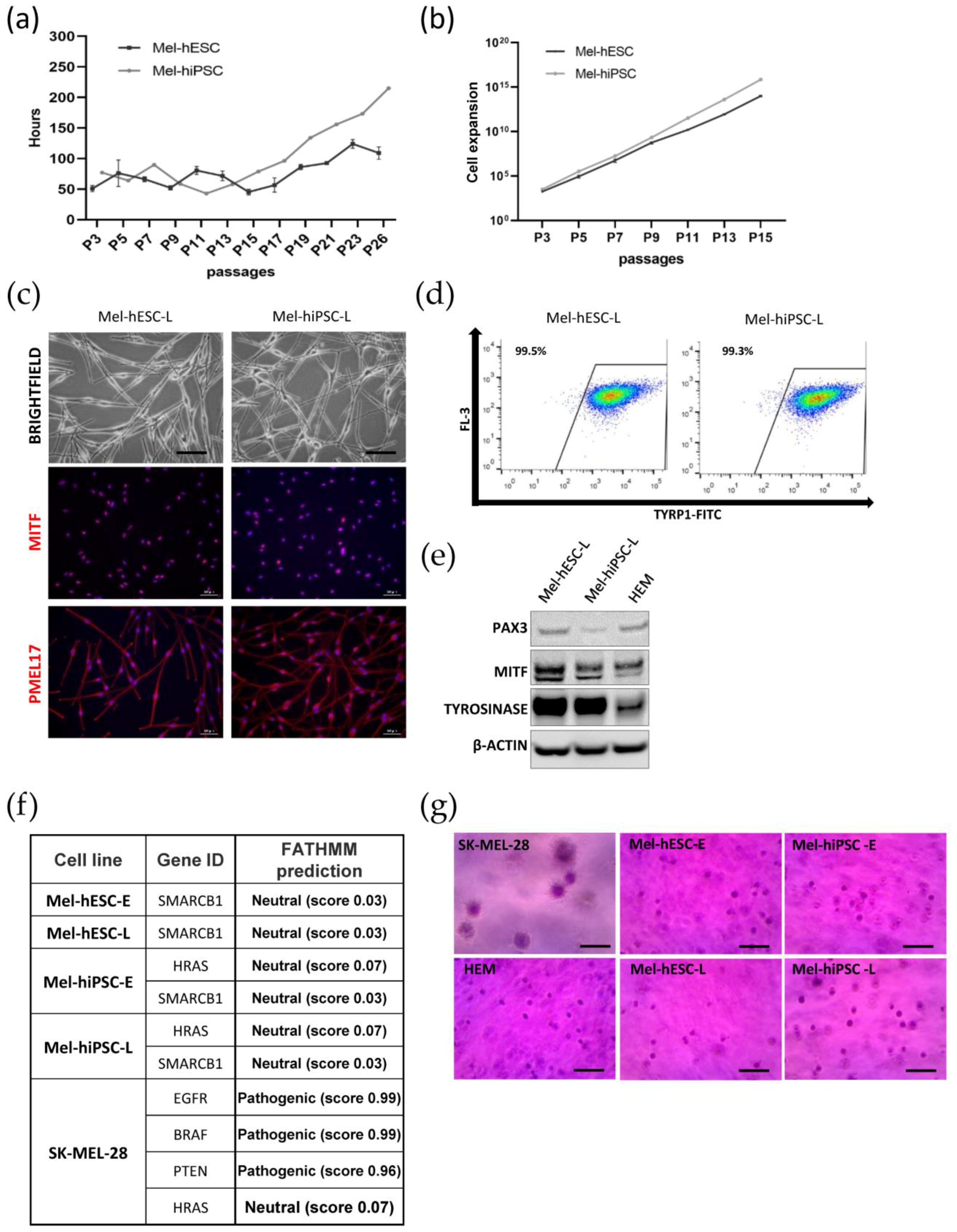 Ijms 24 06398 g003 Ijms 24 06398 g003