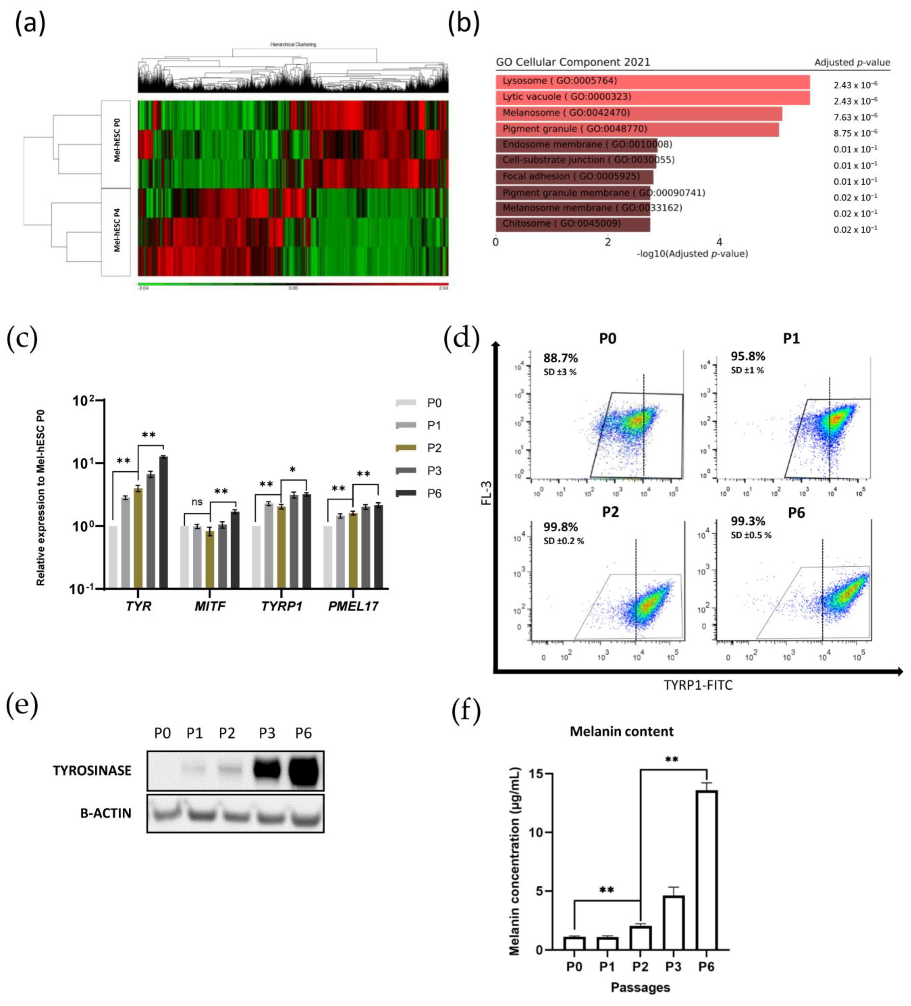Ijms 24 06398 g005 Ijms 24 06398 g005