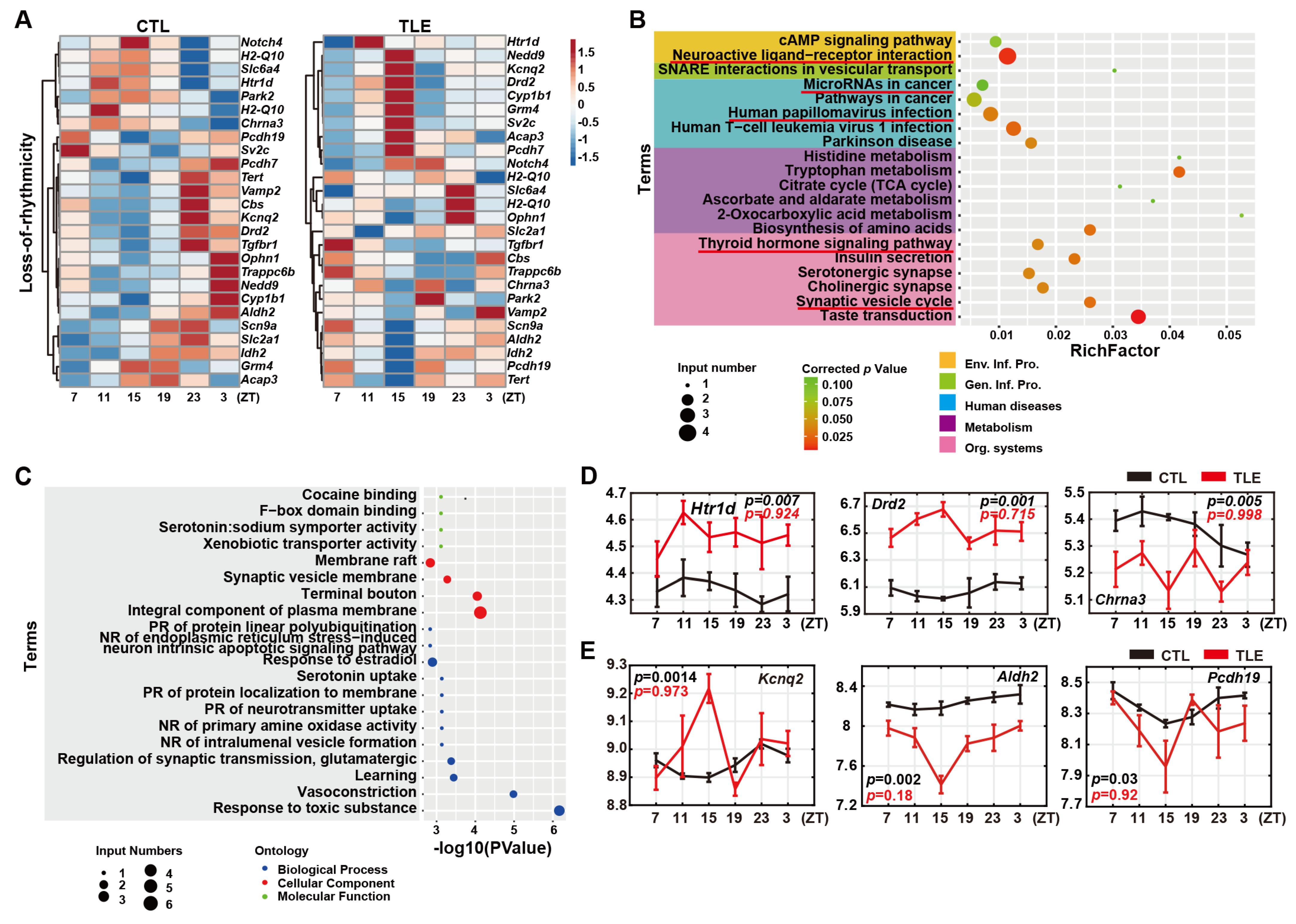 Ijms 24 06400 g002 Ijms 24 06400 g002